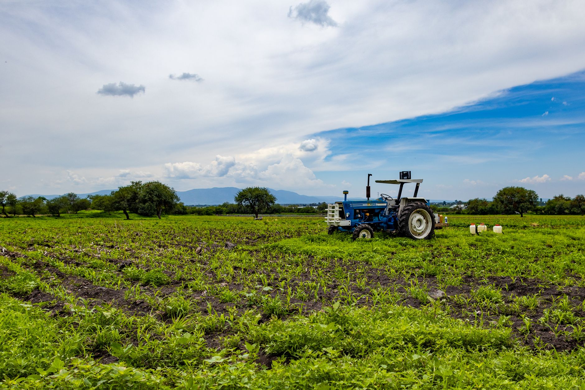 A tractor sits in a vibrant green field in Guanajuato, Mexico, under a bright summer sky.