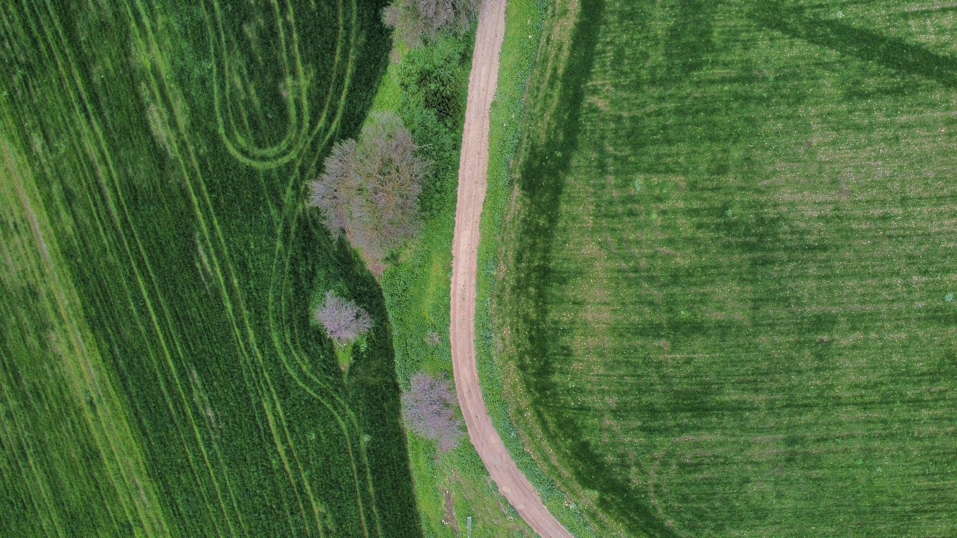 Drone perspective of lush green fields and paths in Beja, Tunisia, showcasing agricultural beauty.