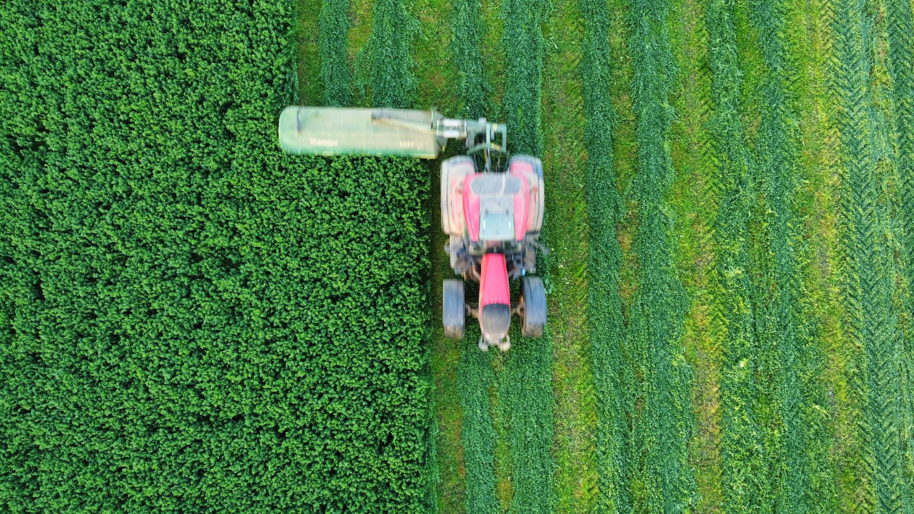 Aerial photo of a red tractor working in a green agricultural field, creating vibrant patterns.