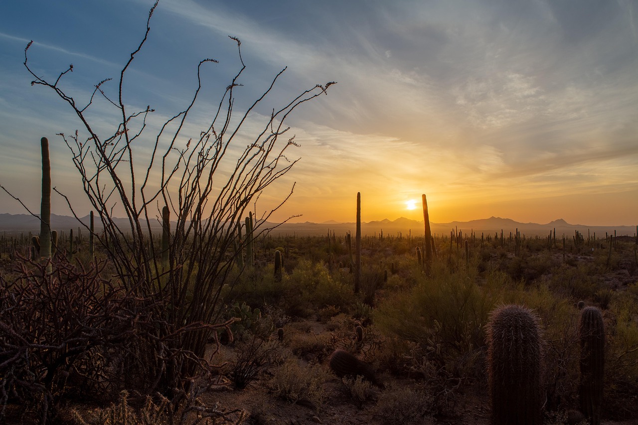ai-driven-sales in tucson