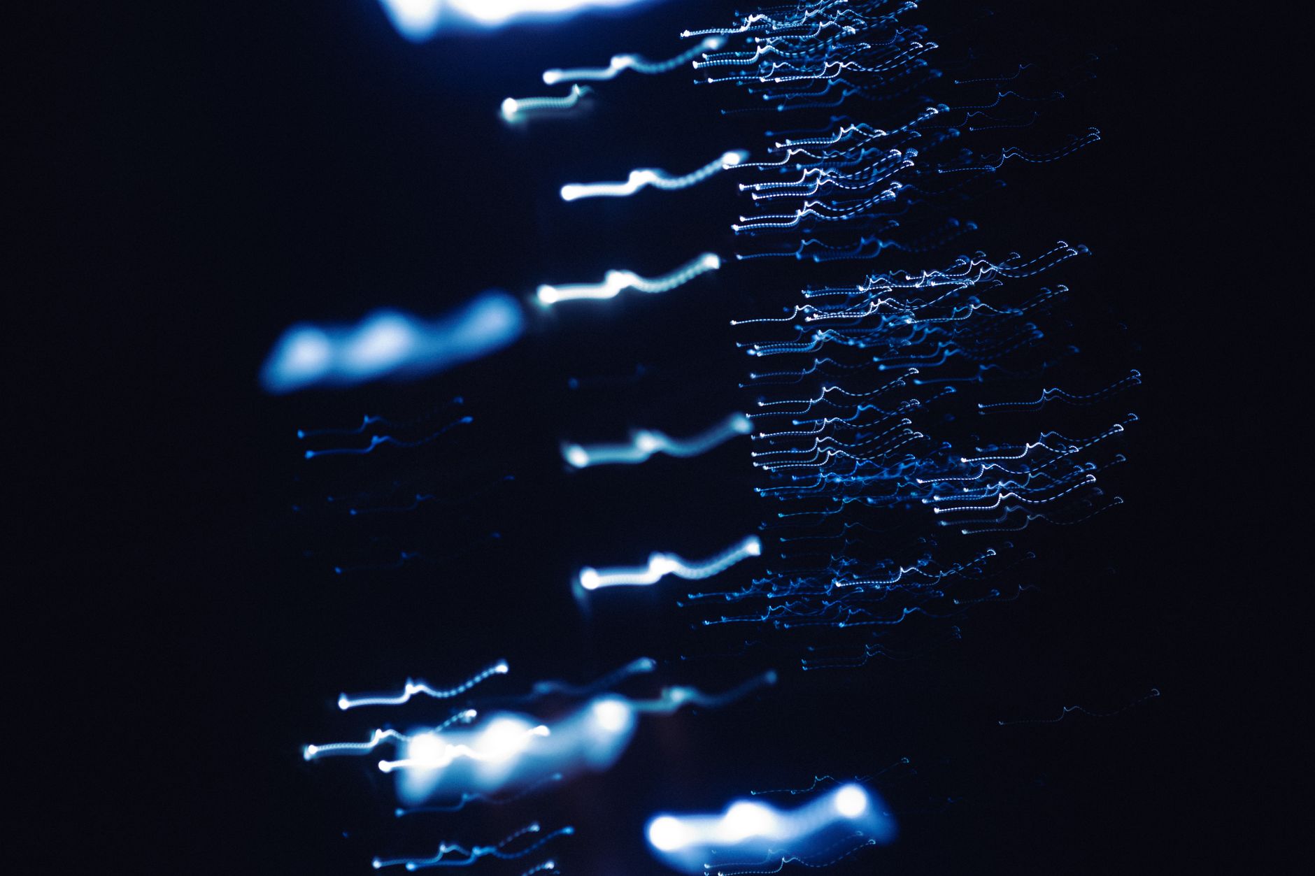 Dynamic abstract photograph of blue light patterns with a dark backdrop, creating a sense of motion and mystery.