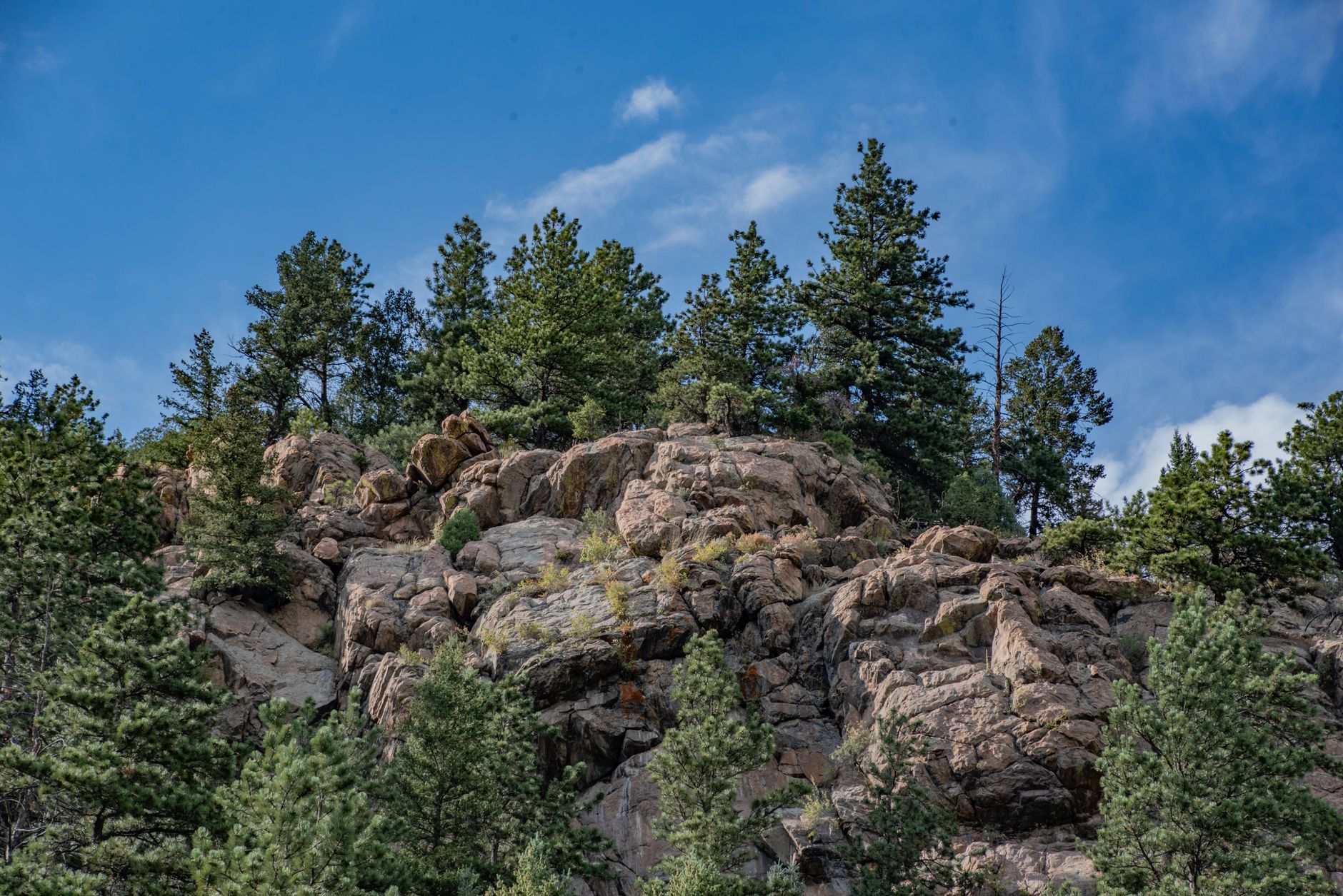 ai-lead-scoring in colorado-springs