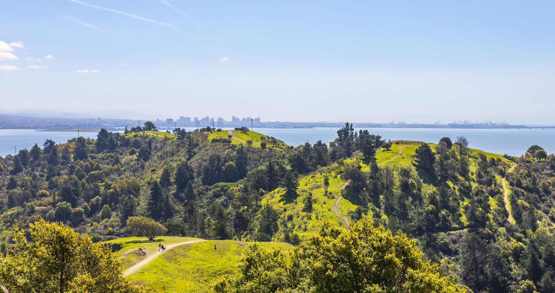 ai-sales-agent in oakland