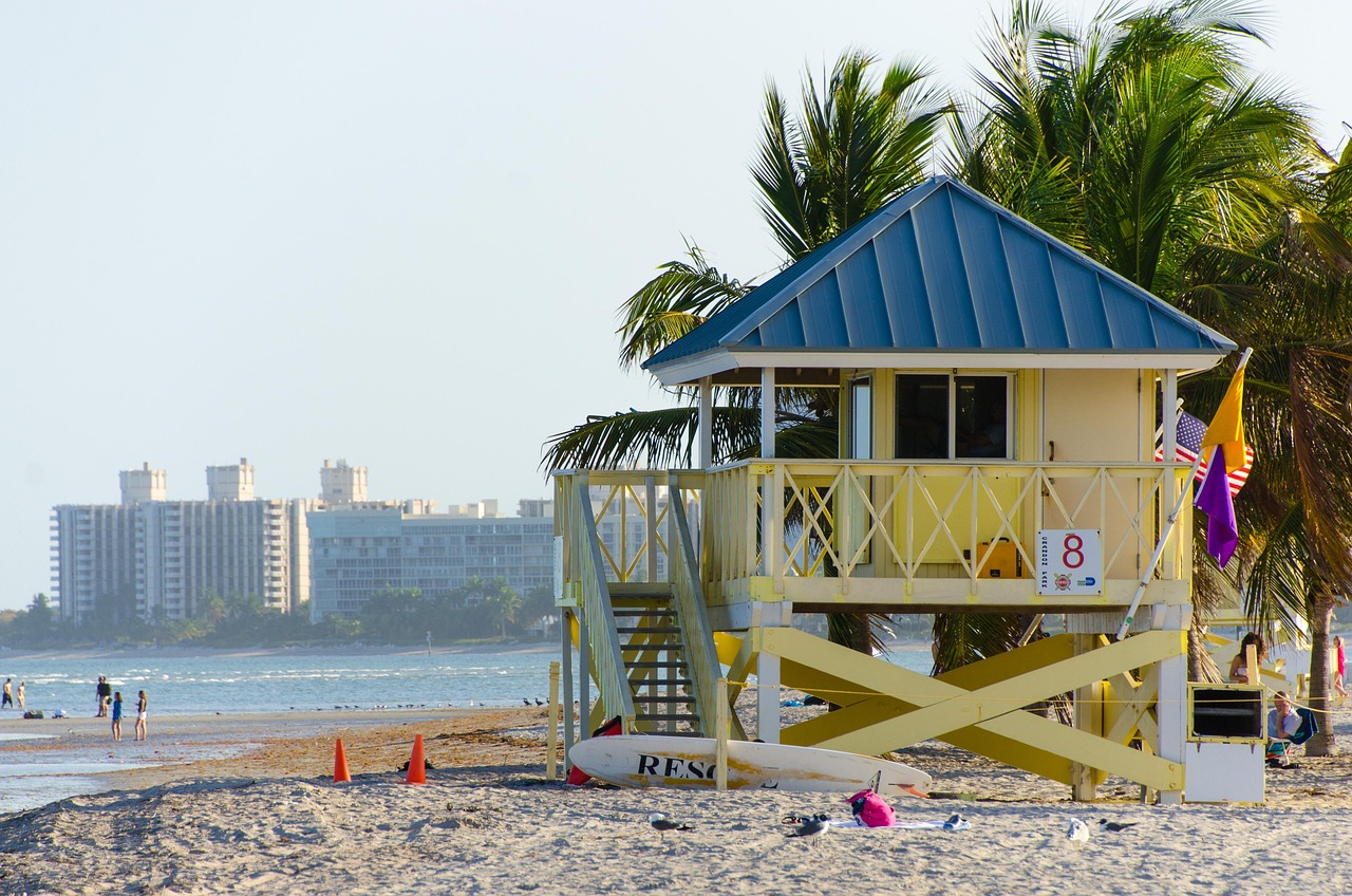 beach, miami, crandon park beach, key biscayne, summer, ocean, florida, miami beach, bay, tourism, miami florida, nature, waterfront, tropical, palm