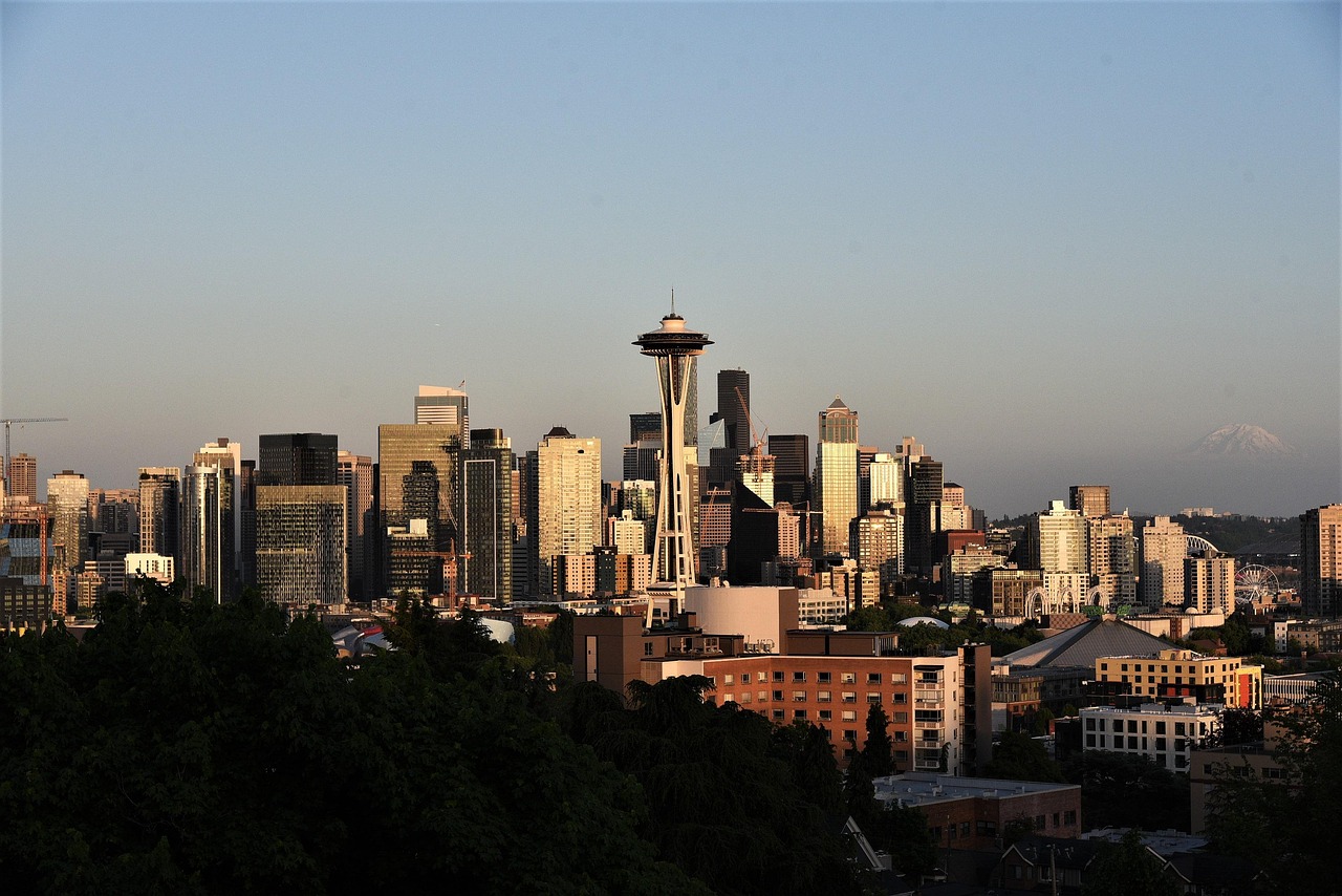 space needle, seattle, sunset, nature, keri park, building, landmark