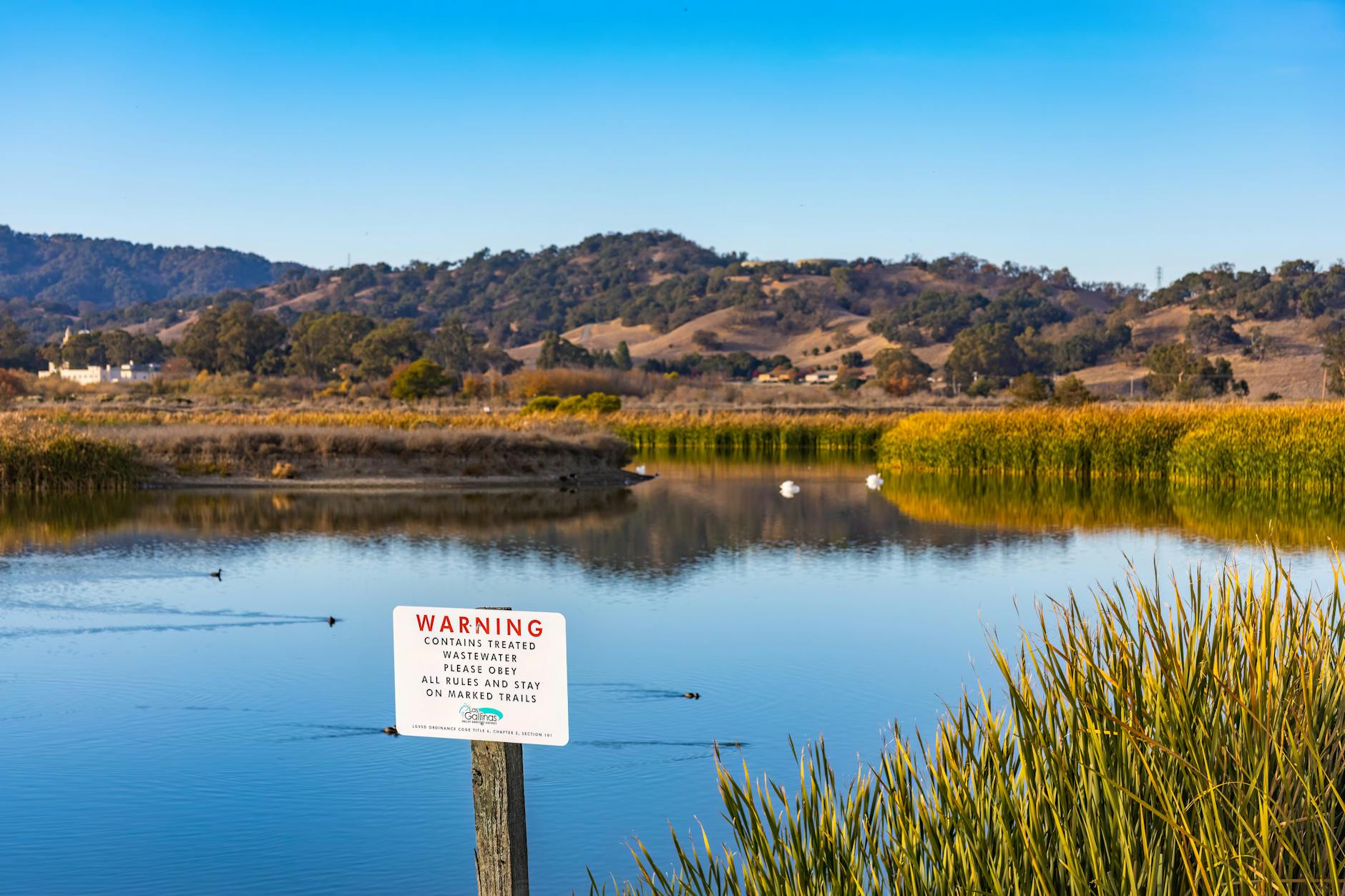 Wooden Scrabble tiles spelling 'AI' and 'NEWS' for a tech concept image.