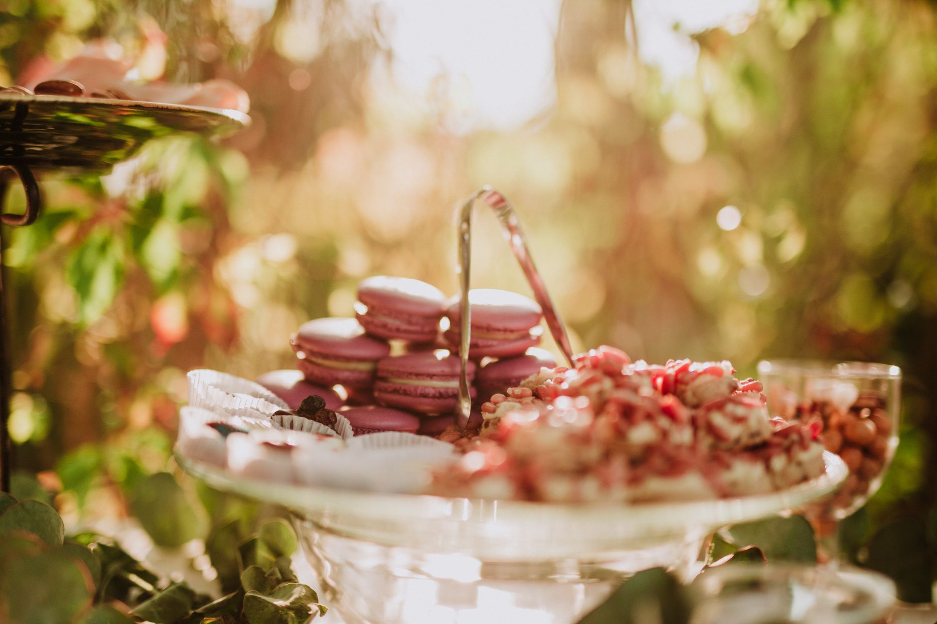 A beautifully arranged dessert table featuring glassware and colorful macarons set in a lush outdoor setting.