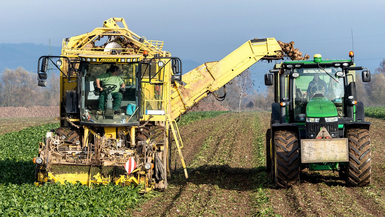 turnip, vegetables, harvest, agriculture, nourishment, naturally, machine, fields, tuber, nature, floor, farmer, sugar beet, arable land, technology, vehicle, harvest time, fall, harvest, harvest, harvest, harvest, harvest