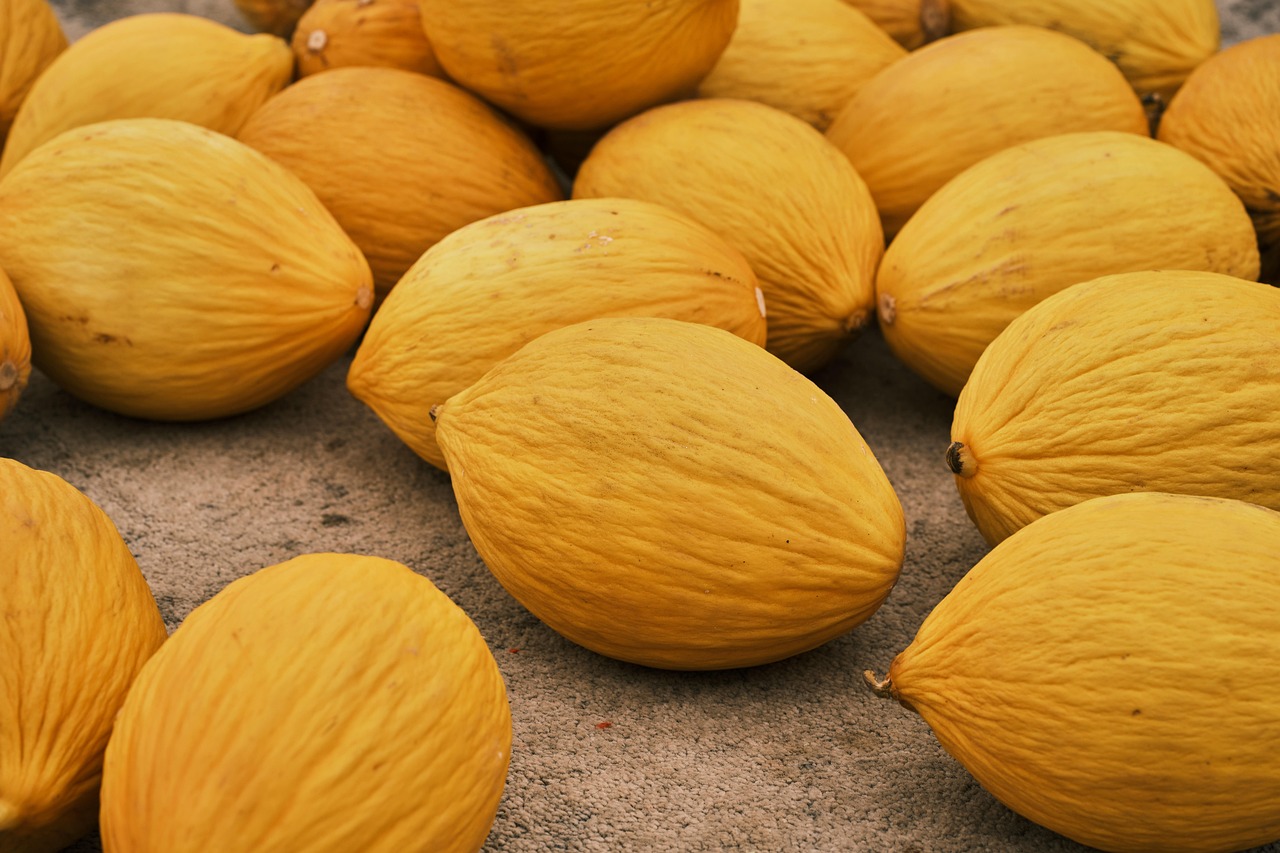 melons, windows wallpaper, 4k wallpaper 1920x1080, hd wallpaper, yellow melons, beautiful wallpaper, mac wallpaper, cool backgrounds, free wallpaper, fruits, wallpaper 4k, 4k wallpaper, full hd wallpaper, wallpaper hd, desktop backgrounds, free background, laptop wallpaper, background