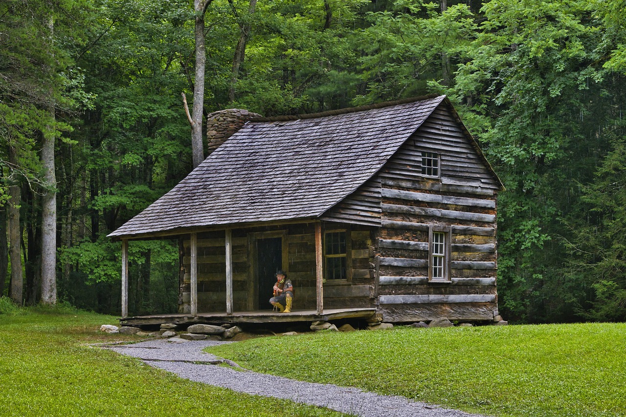 cabin, log house, tennessee, tn, travel, trees, cades cove, wilderness, tourism, nature, smokey mountains