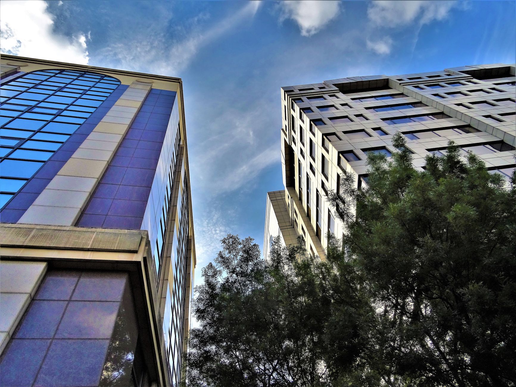 Low angle view of modern skyscrapers with glass facades and surrounding trees against a bright blue sky.