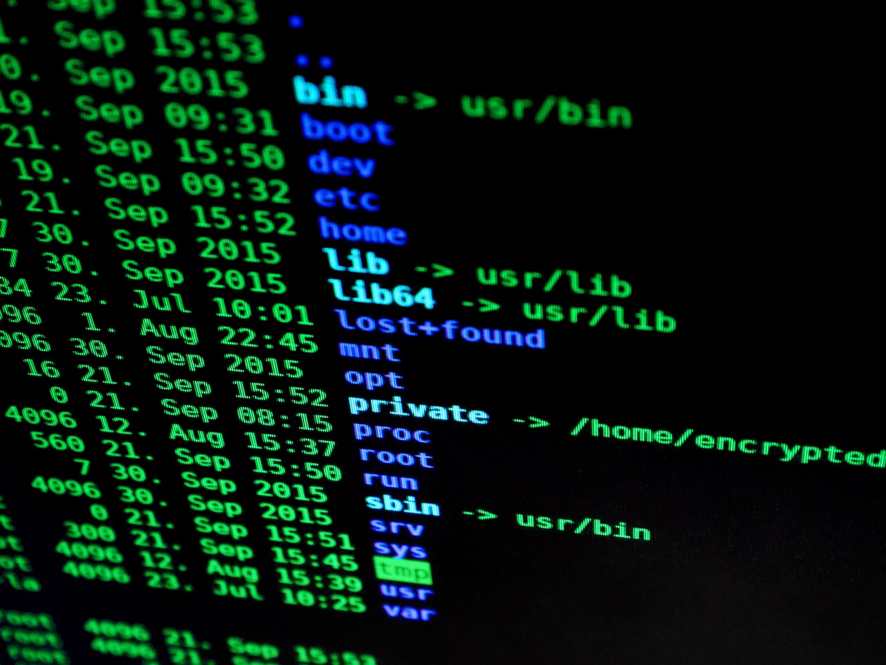 Exemplo de arquivo llms.txt mostrando instruções de texto simples para modelos de linguagem