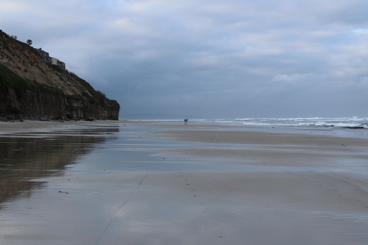 AI dashboard analyzing leads in San Diego office