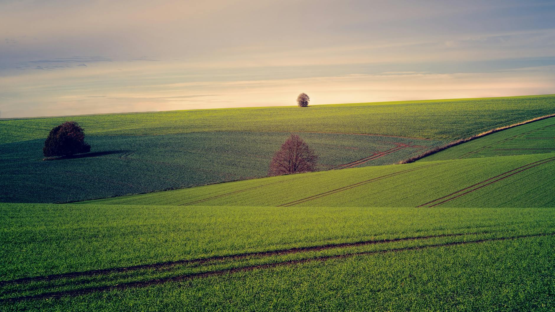 Fresno CA agricultural fields with farms