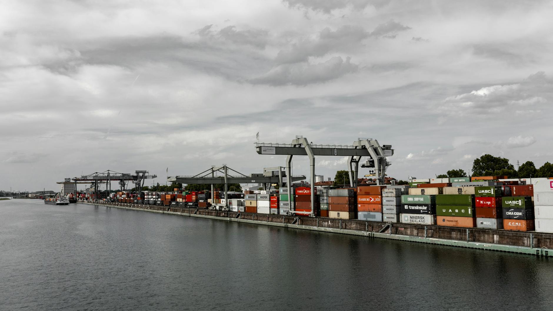 Sales Intelligence in Long Beach: Complete Guide