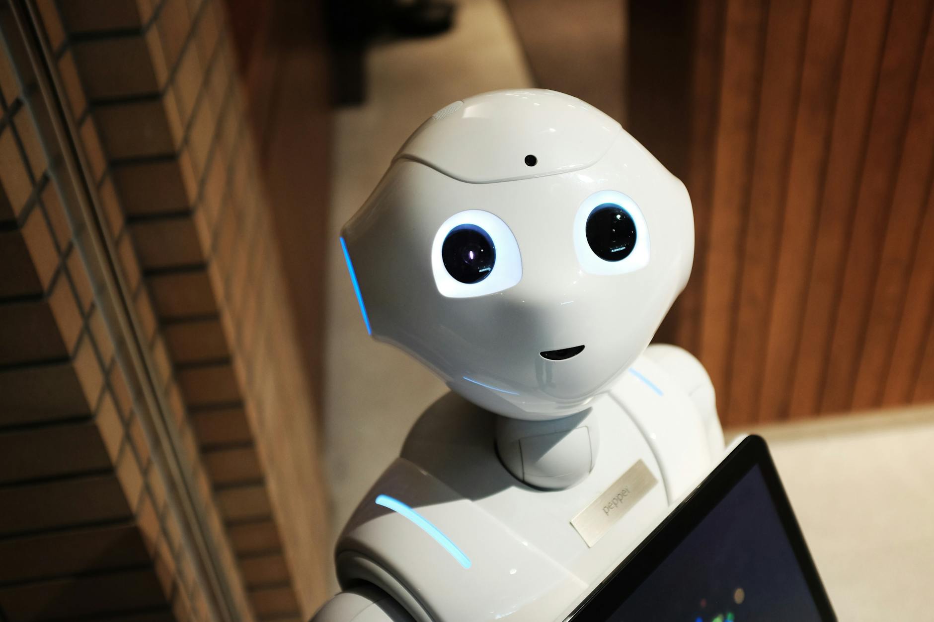 AI chatbot conversation interface on business website