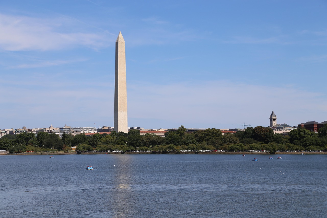 Busy Washington DC professionals in modern office