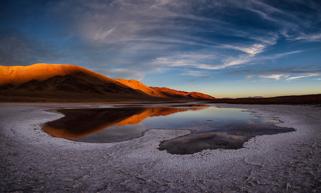 AI Receptionist in Salt Lake City, UT — 24/7 Virtual Front Desk