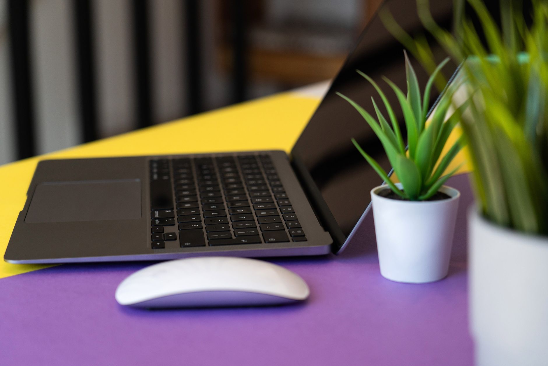 A sleek laptop and green plant on a colorful desk, ideal for creative workspaces.