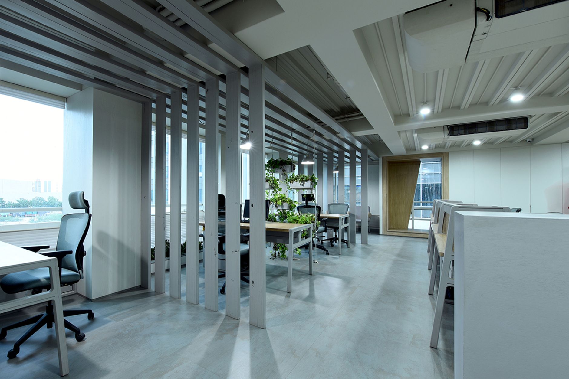 Spacious modern office in Ahmedabad with an open design and indoor plants.