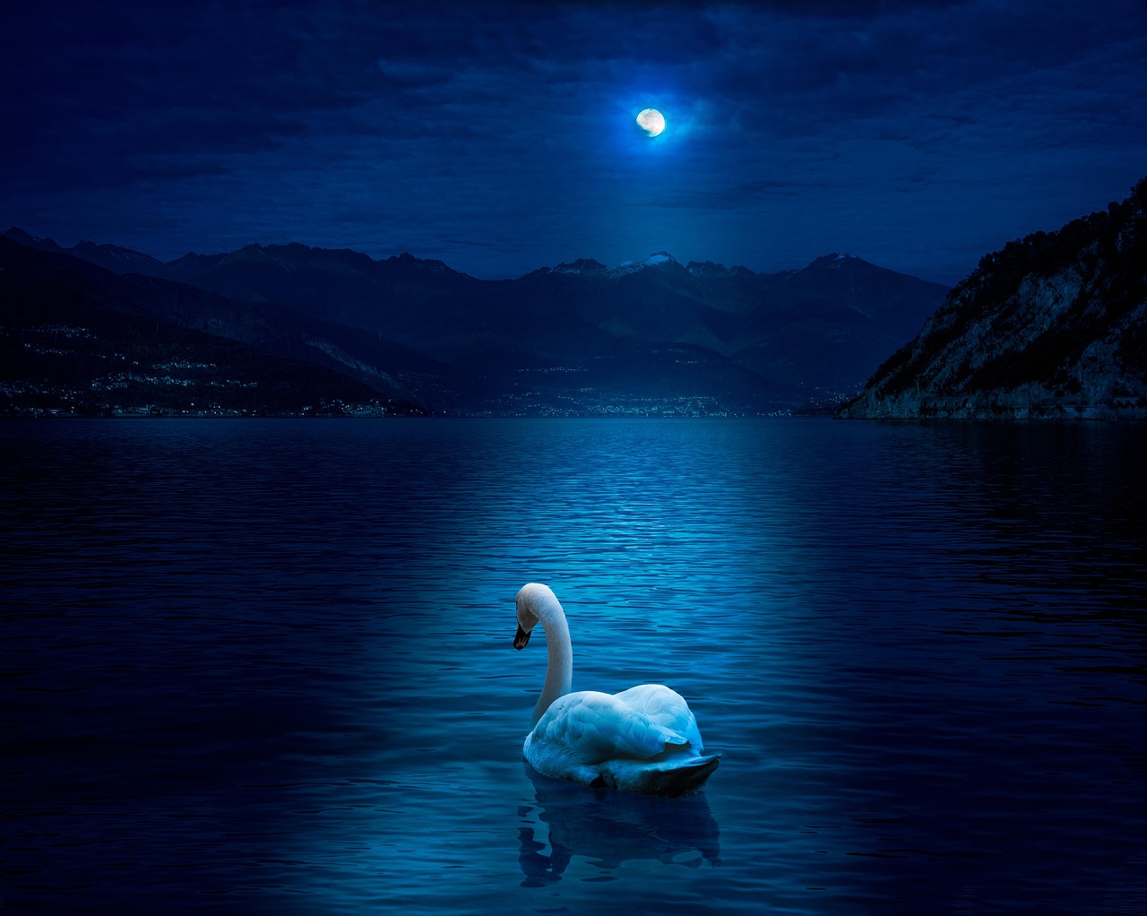 swan, moon, moonlight, lake, lake como, como, italy, swim, serene, night, nature, evening