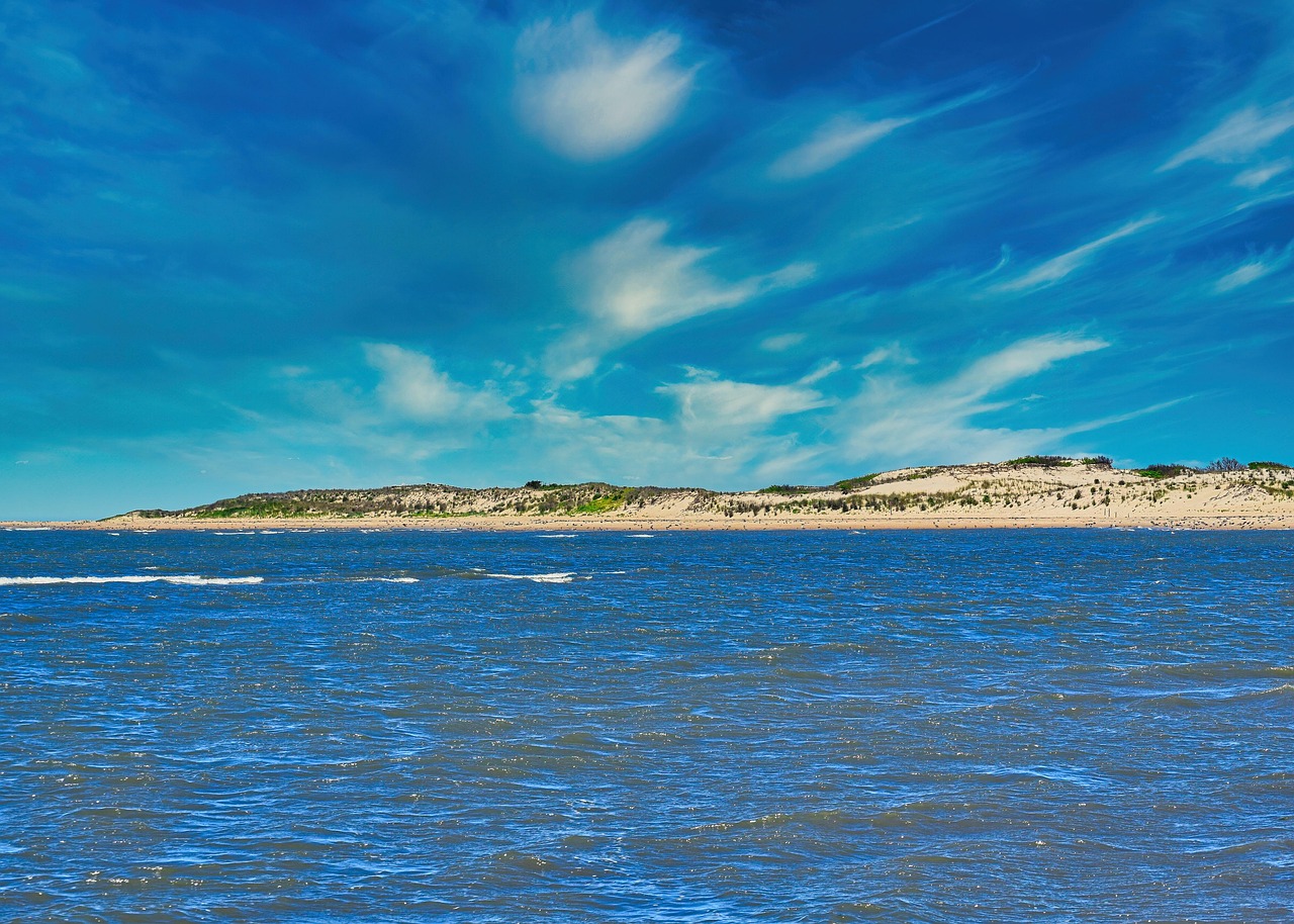 beach, dunes, nature, sand, landscape, coast, cape henlopen, delaware usa