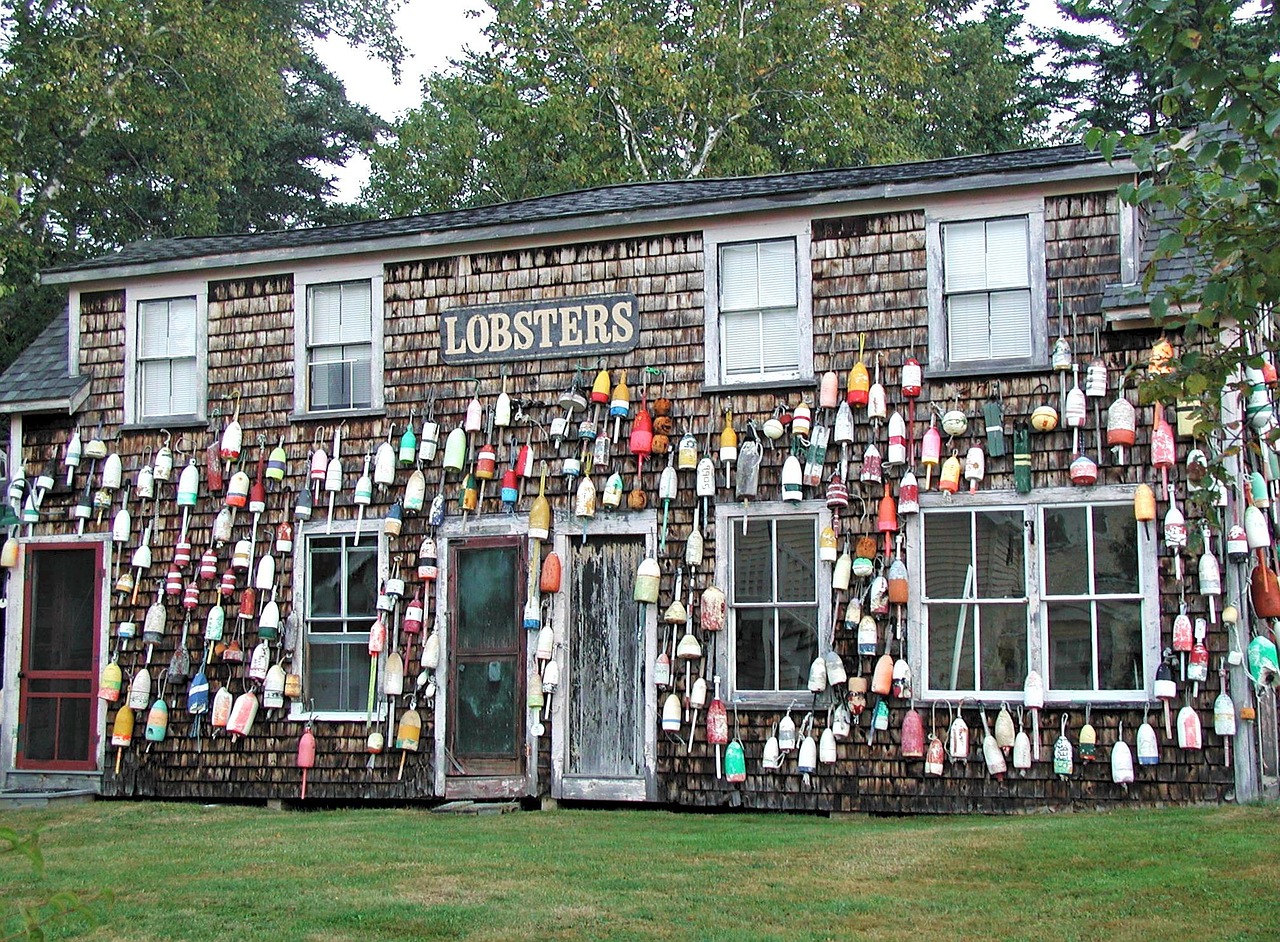 lobster, new england, usa, house, maine, lobster, lobster, new england, new england, new england, new england, new england, maine