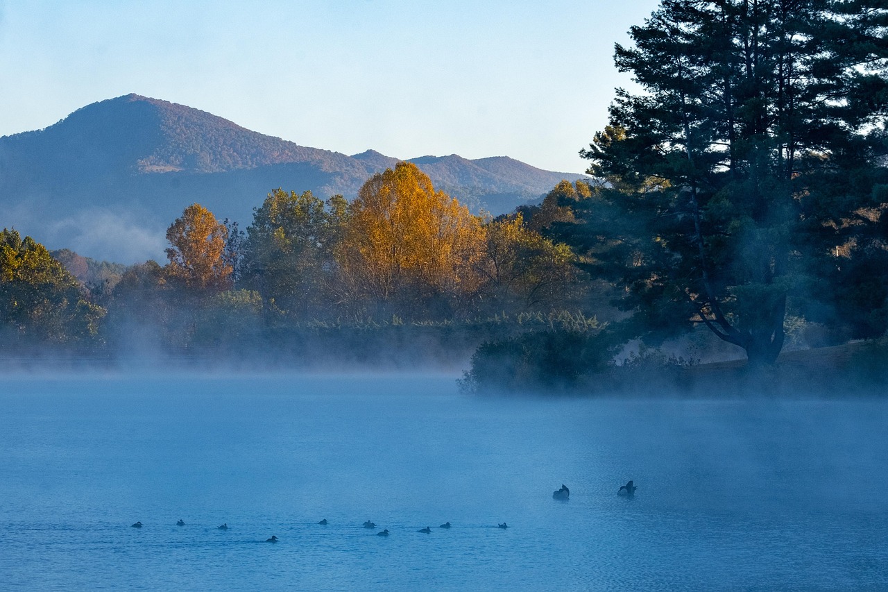 lake, fog, mountains, sunrise, dawn, morning, mist, water, trees, mountain range, scenery, scenic, tranquil, nature, lake junaluska, north carolina, united states, usa, north carolina, north carolina, north carolina, north carolina, north carolina