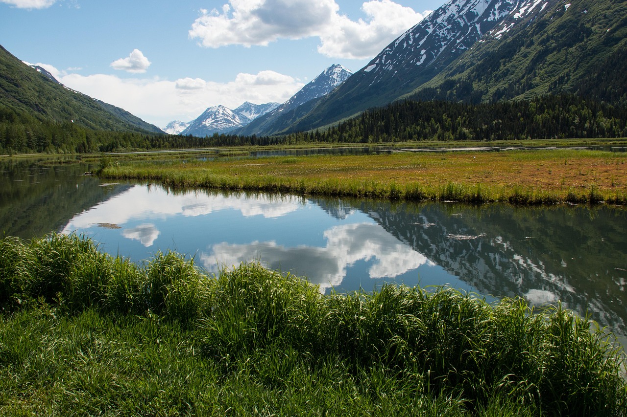 alaska, usa, us, green, nature, view, landscape, alaska, alaska, alaska, alaska, alaska, green