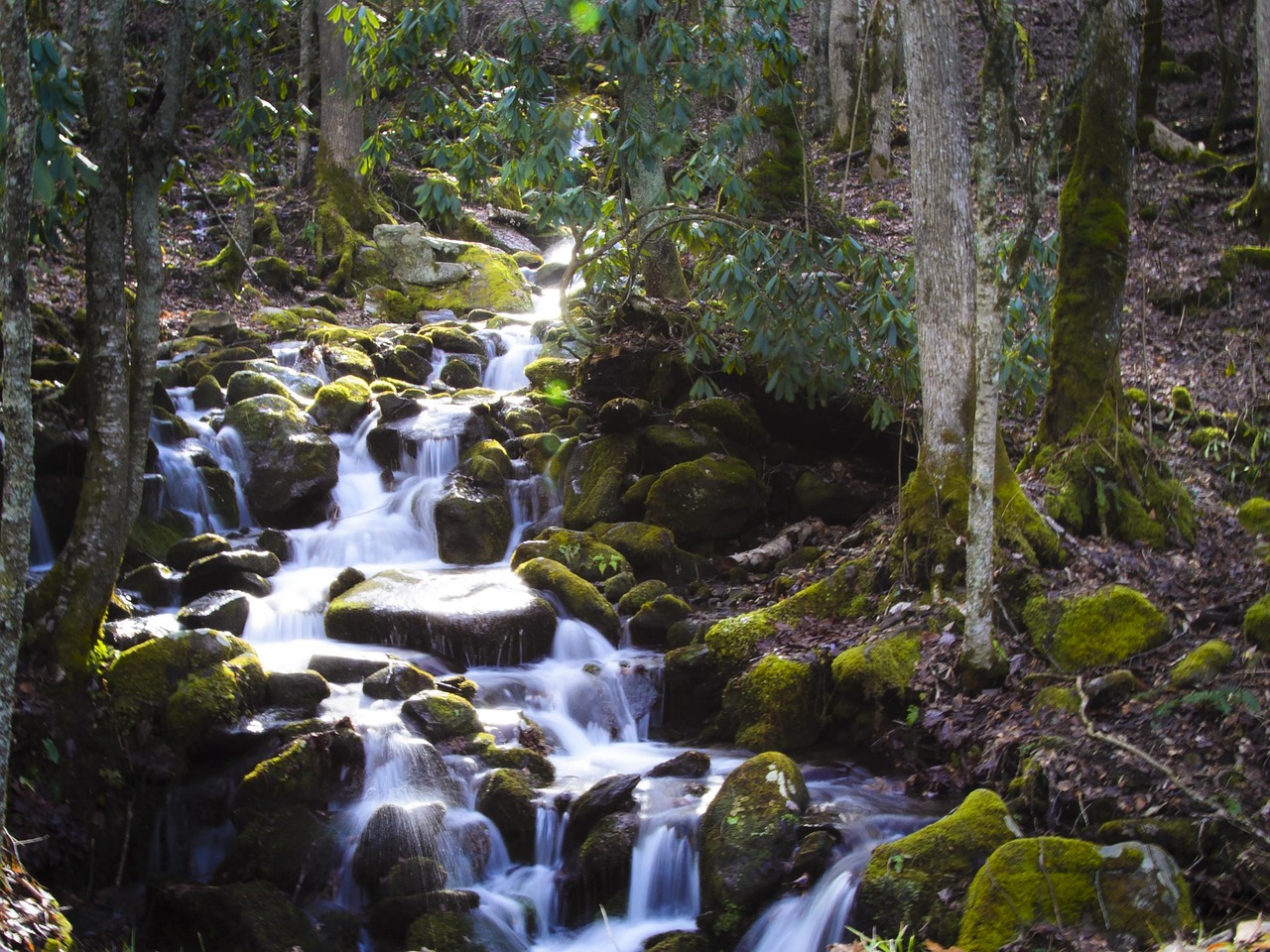 smokey, mountains, north carolina, river, nature, creek