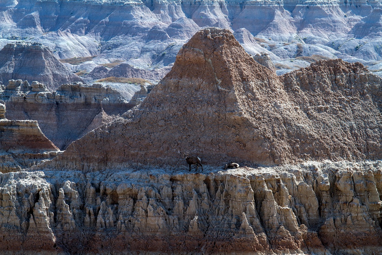 badlands national park, south dakota, usa, lakota, united states, badlands, america, landscape, north america, national park, prairie, south dakota, south dakota, south dakota, south dakota, south dakota