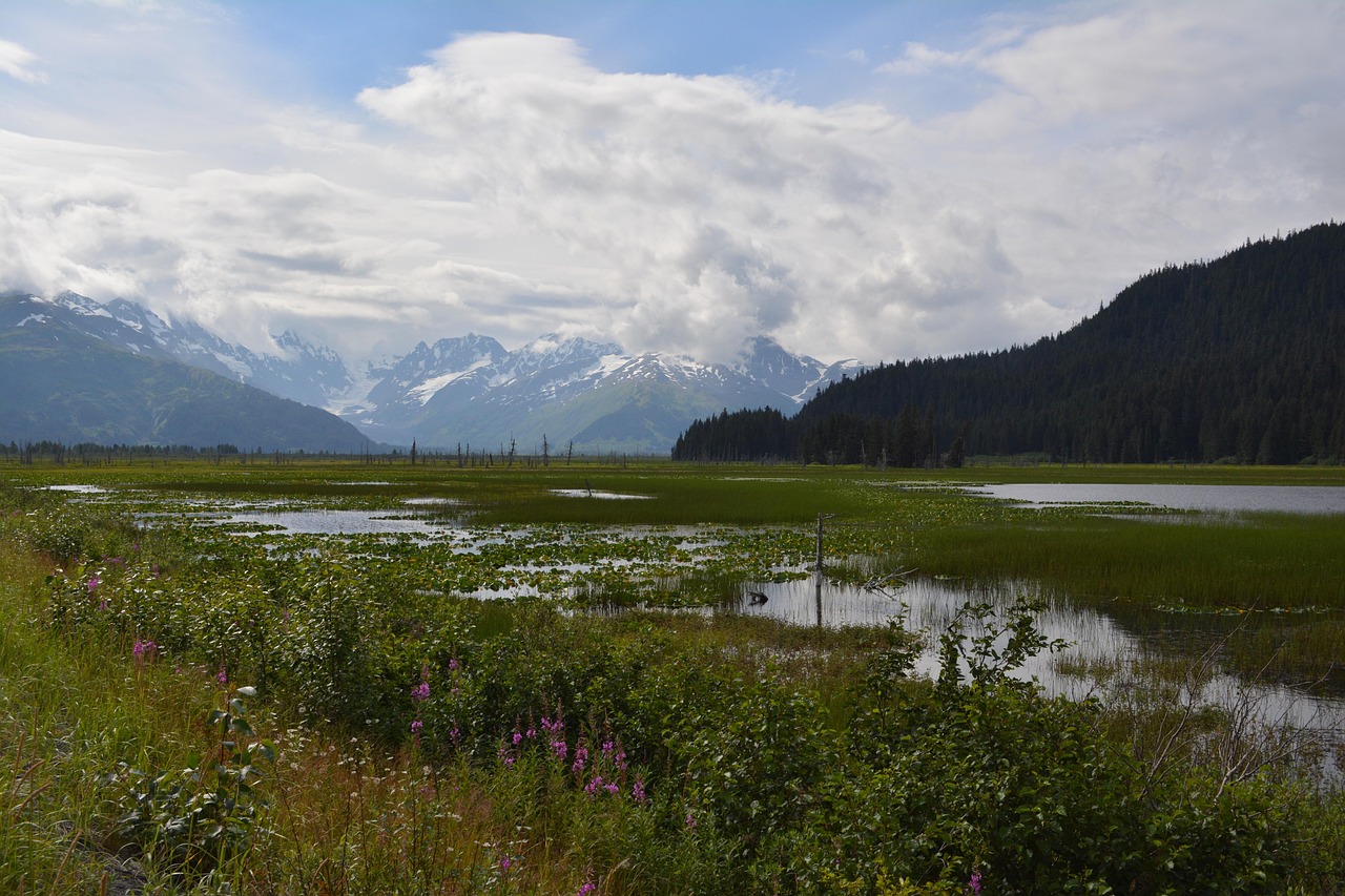 kenai peninsula, alaska, mountain, wilderness, usa, nature, scenic