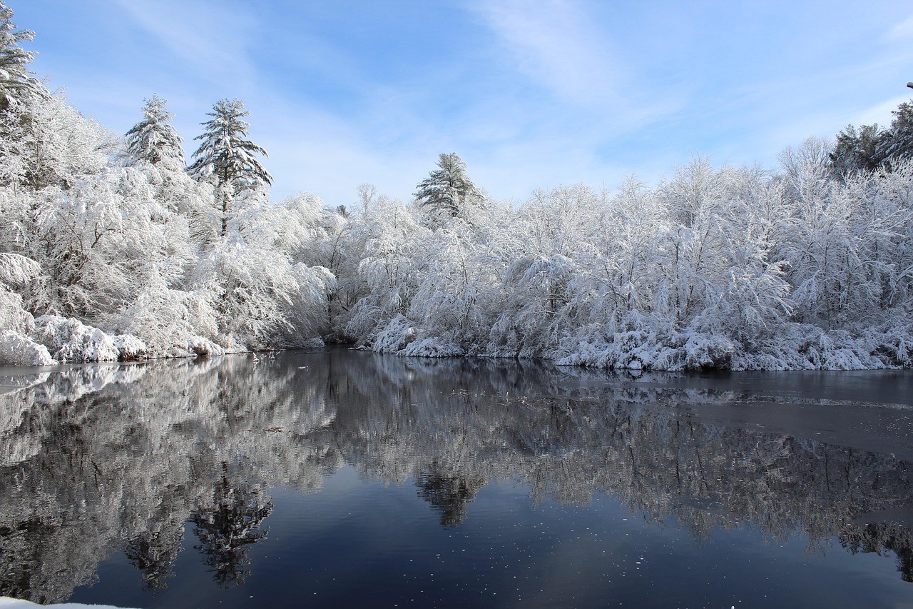 snow, winter, water, arcadia, nature, rhode island, forest, trees, blue, ice, blue island