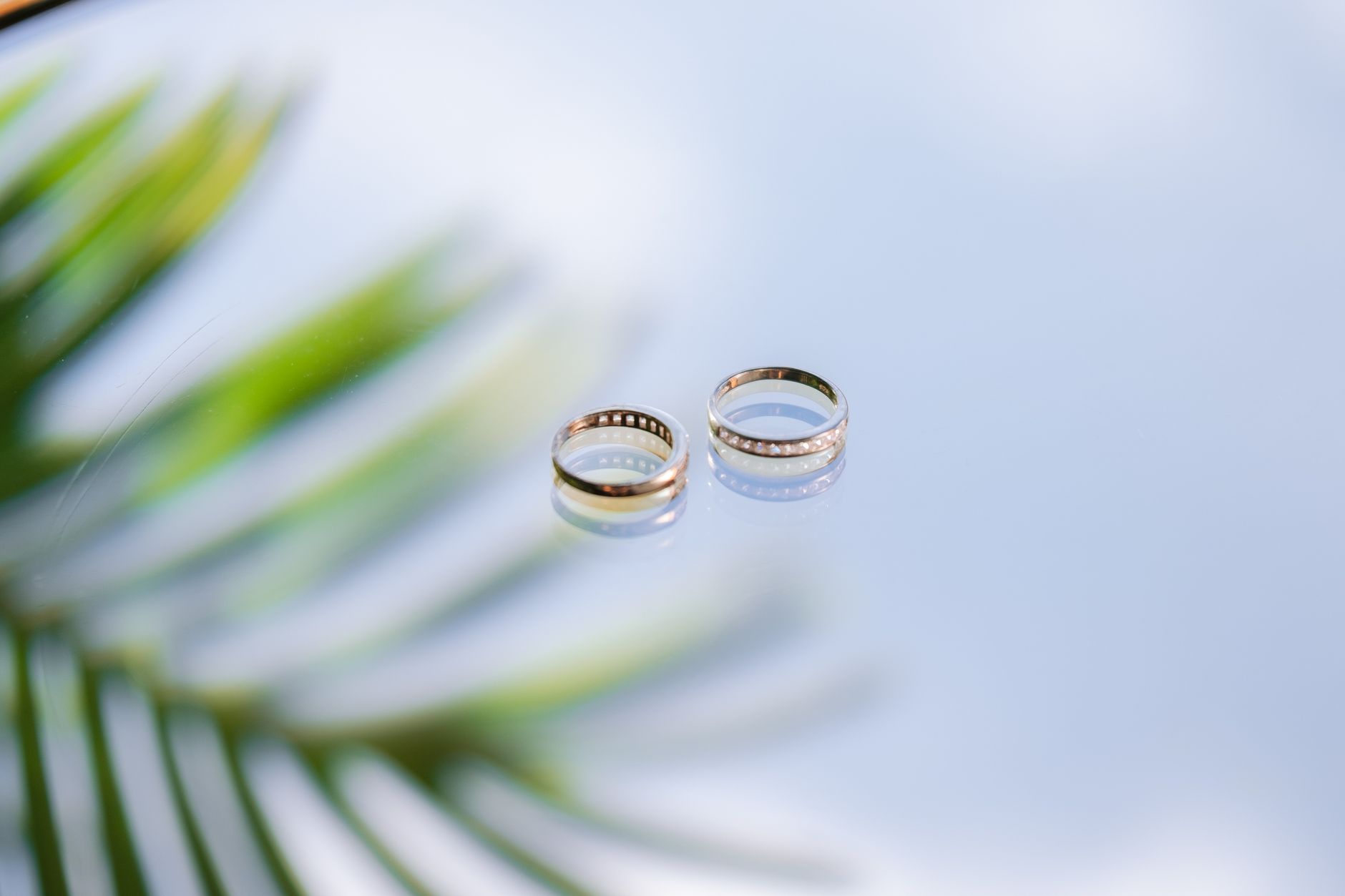 Two wedding rings on a reflective surface with a tropical leaf shadow.