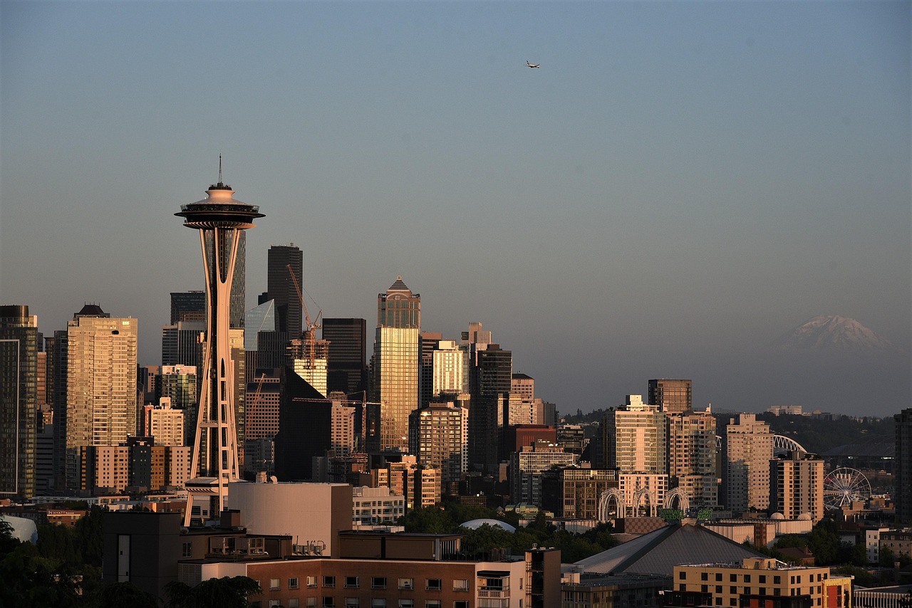 seattle, downtown, landmark, space needle, sunset, city, buildings, nature, cityscape