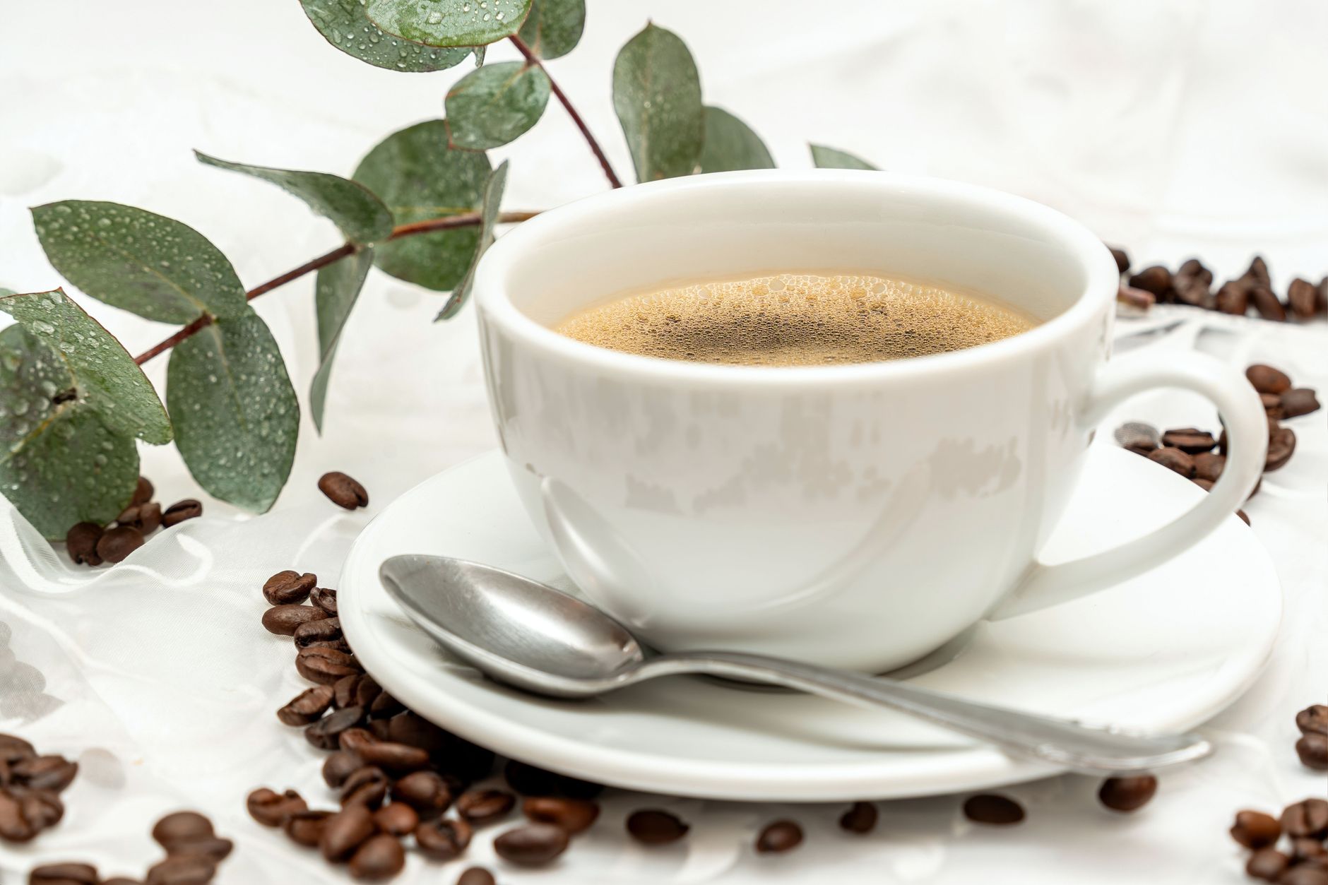 A soothing cup of coffee next to eucalyptus leaves and coffee beans, perfect for relaxation.