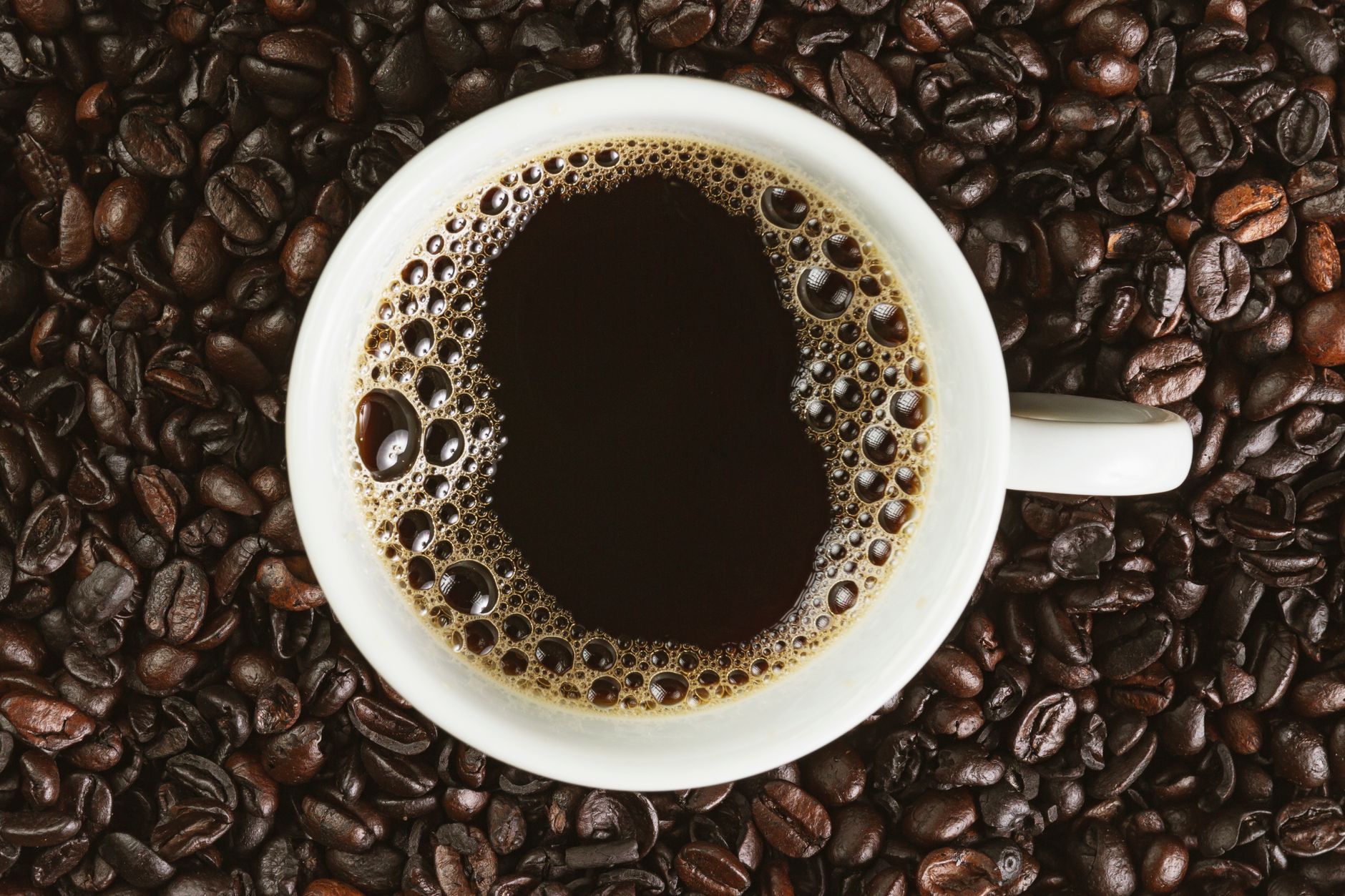 A steaming cup of coffee on a bed of coffee beans. Perfect for coffee lovers.