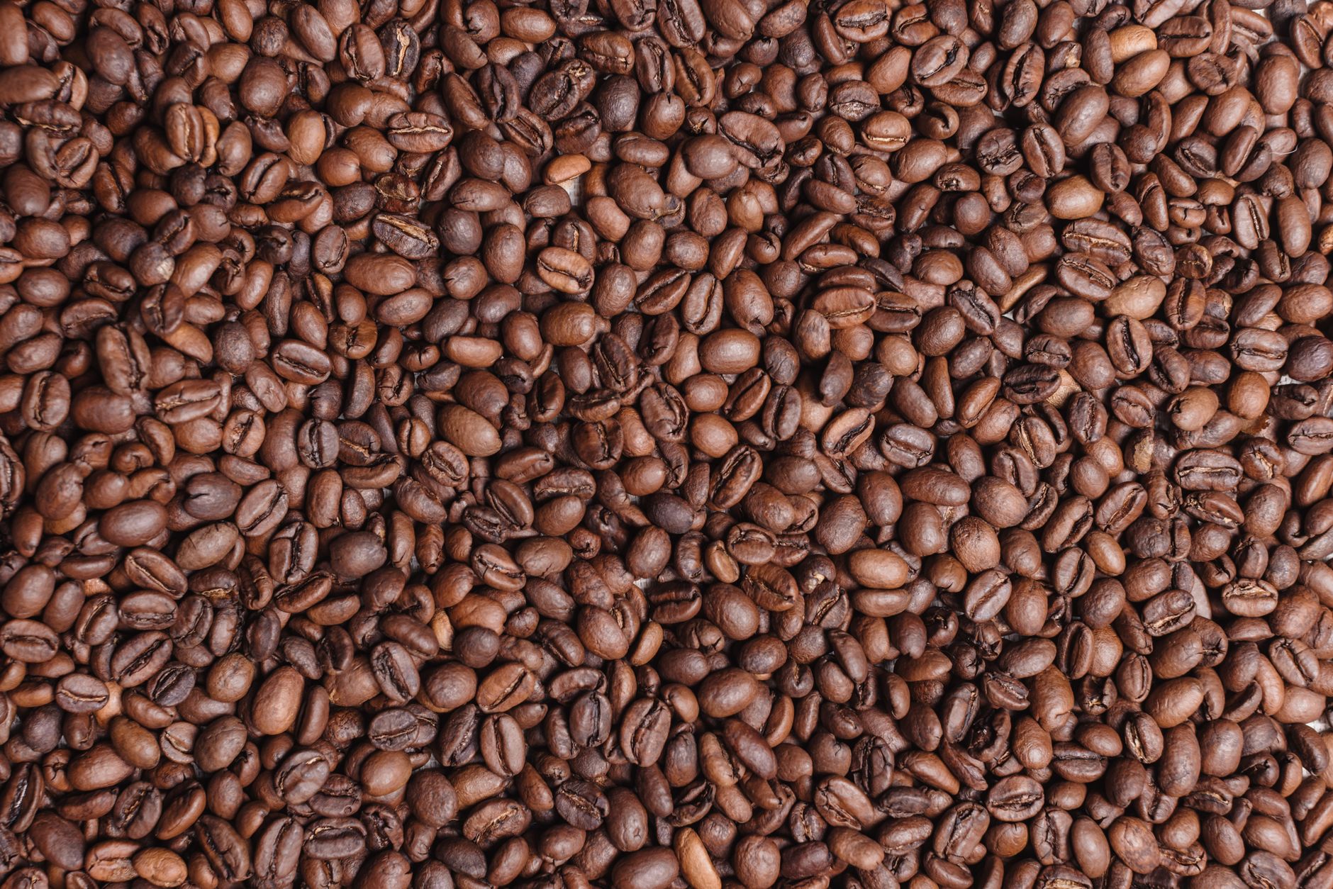 Close-up view of fresh brown coffee beans creating a rich and textured background.