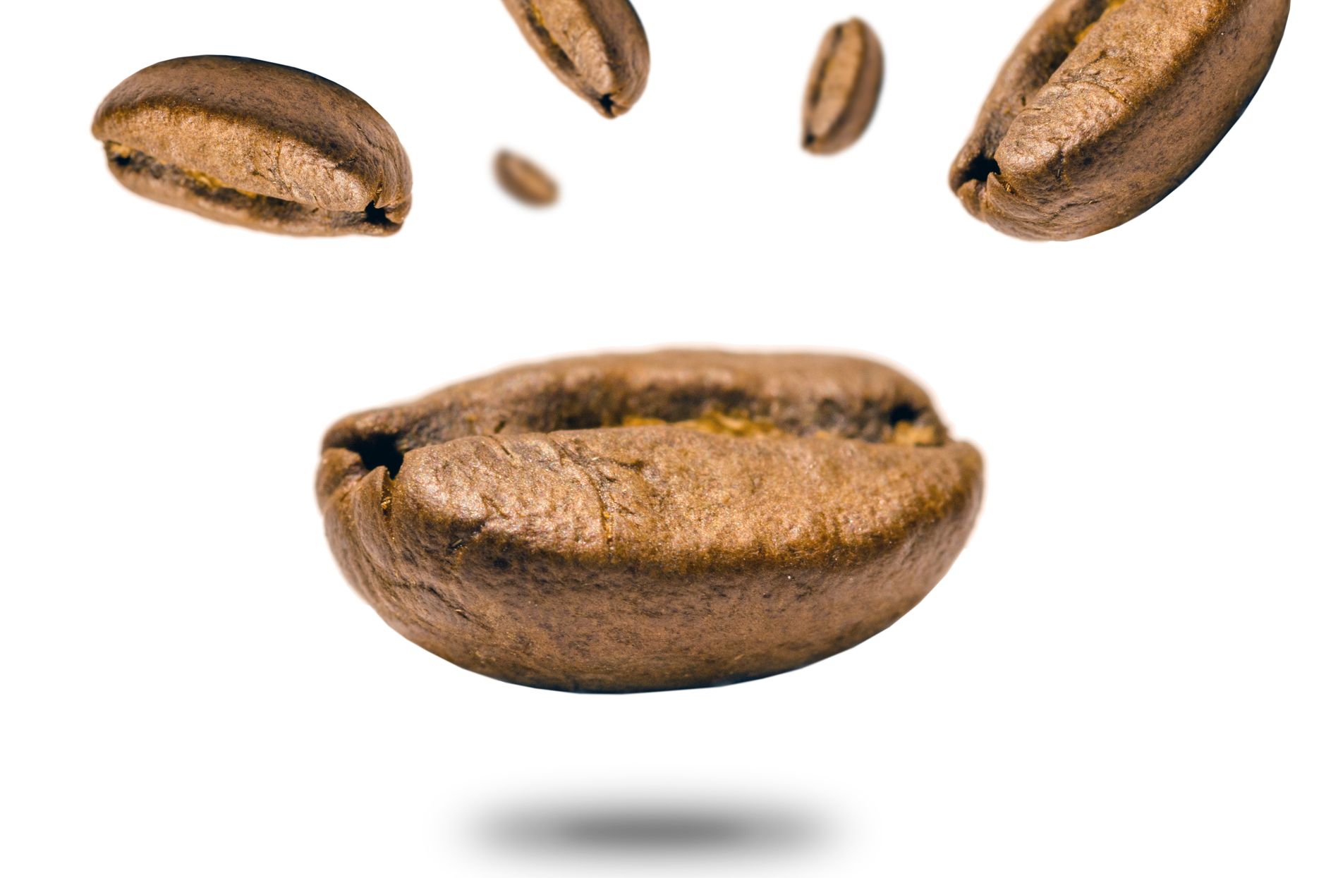 Close-up of levitating coffee beans against a white backdrop, highlighting texture.
