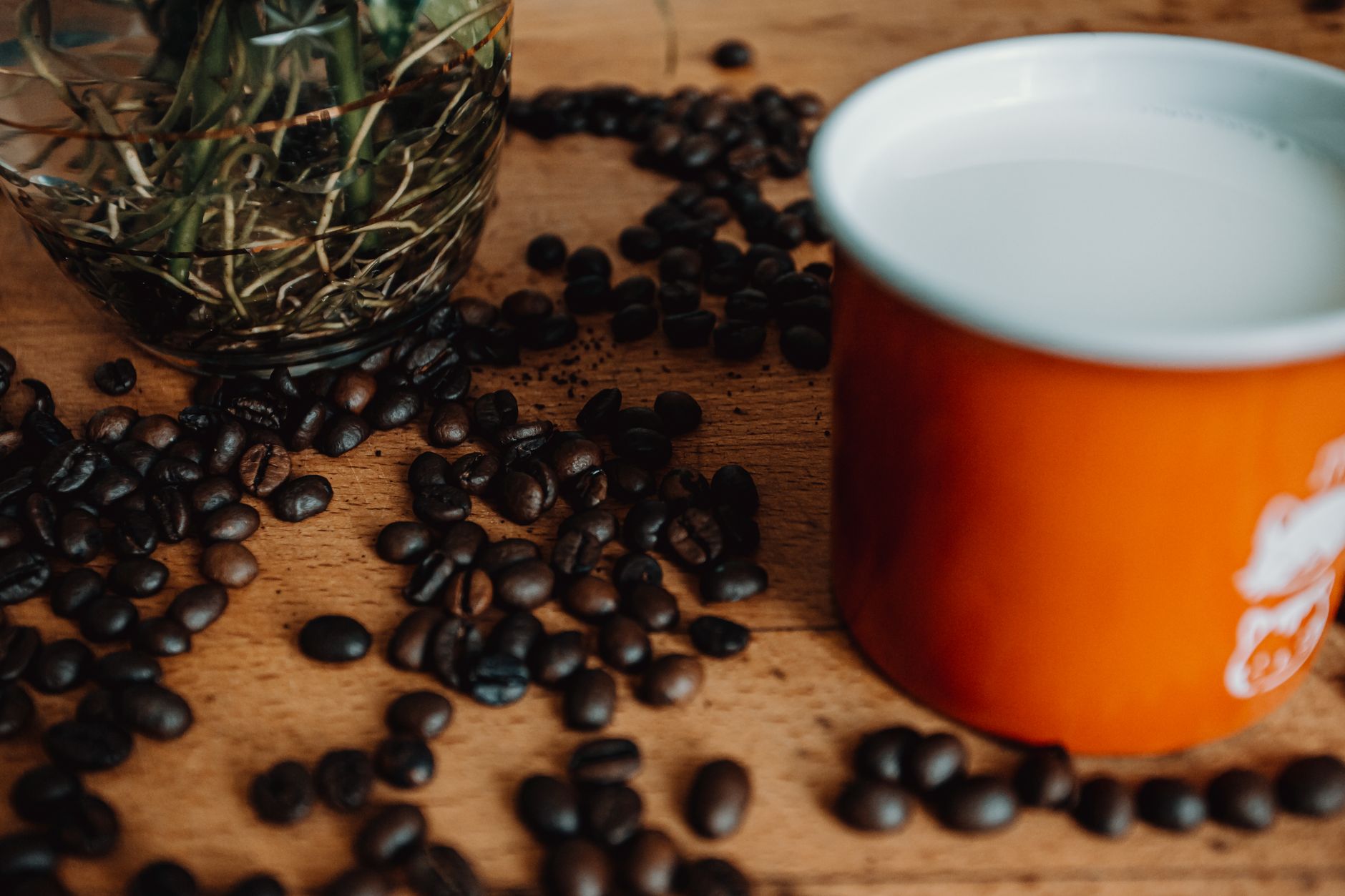 Coffee beans scattering on wooden table near branches and orange cup of hot beverage with milk