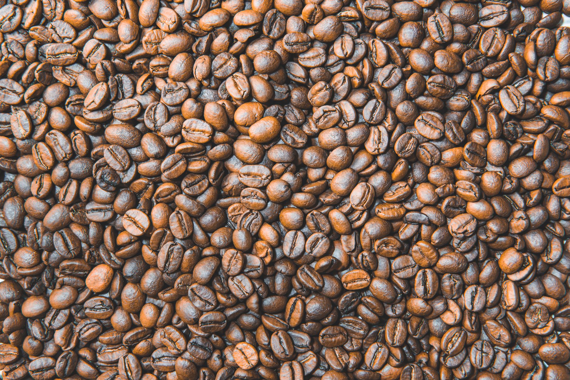 Close-up flat lay of roasted coffee beans showcasing texture and aroma, perfect for coffee themed designs.