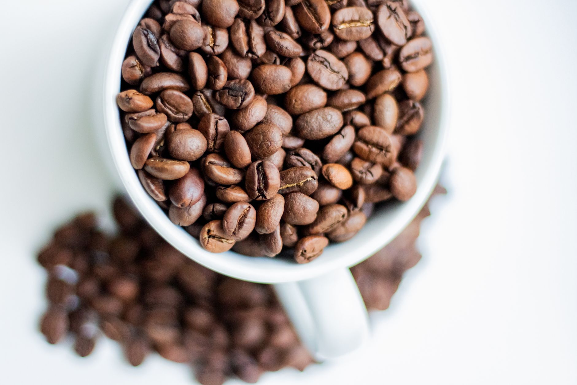 Top view of coffee beans in a white mug, highlighting texture and aroma.