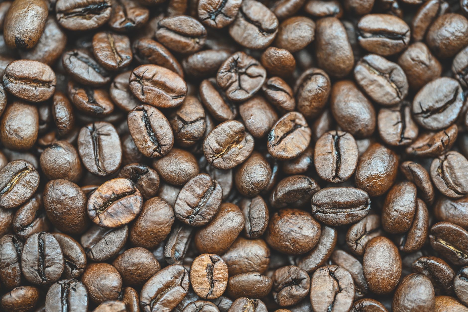 A detailed close-up of roasted coffee beans showing rich texture and color, ideal for food and beverage themes.