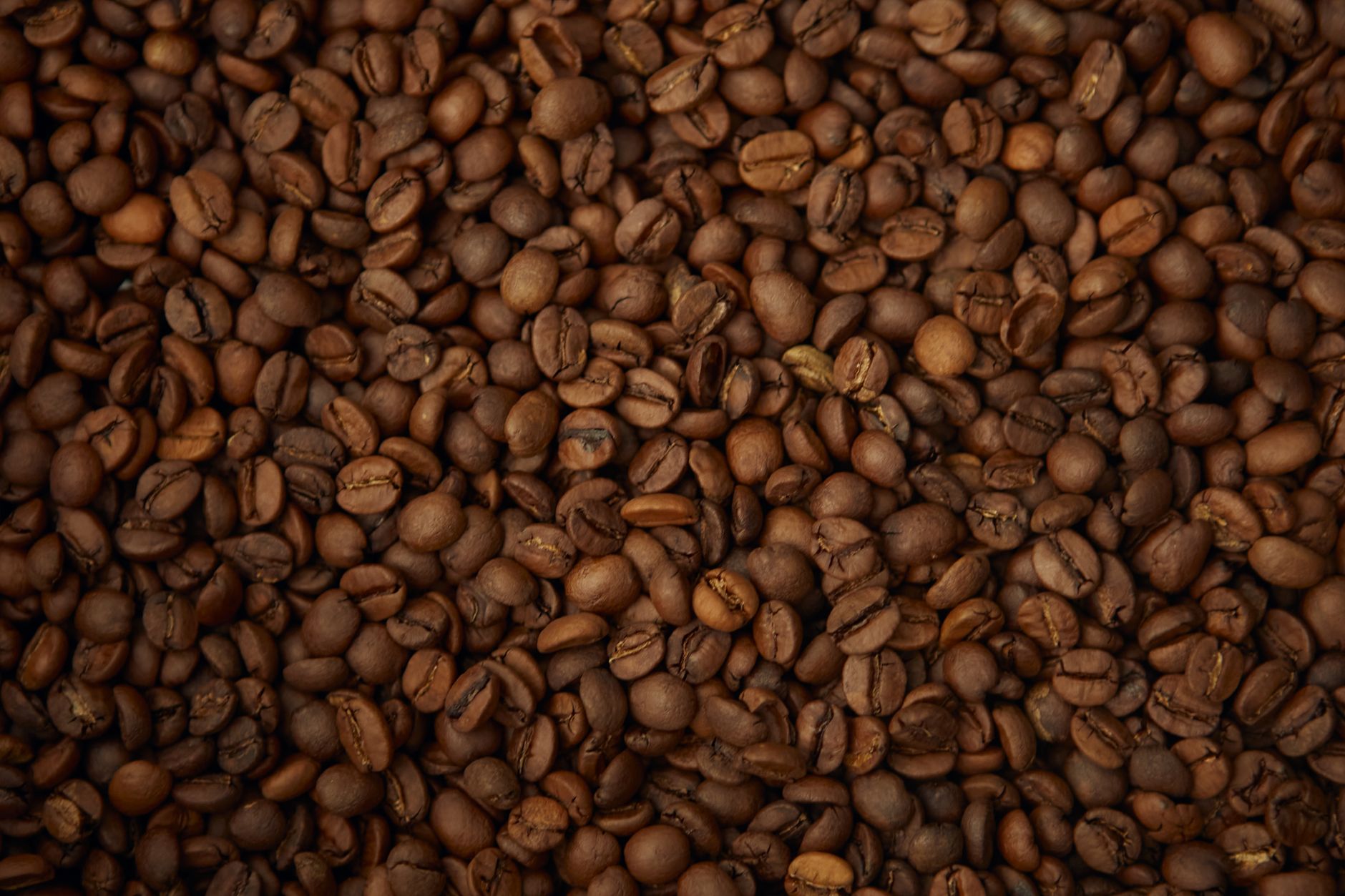 A detailed view of freshly roasted coffee beans showcasing texture and color.