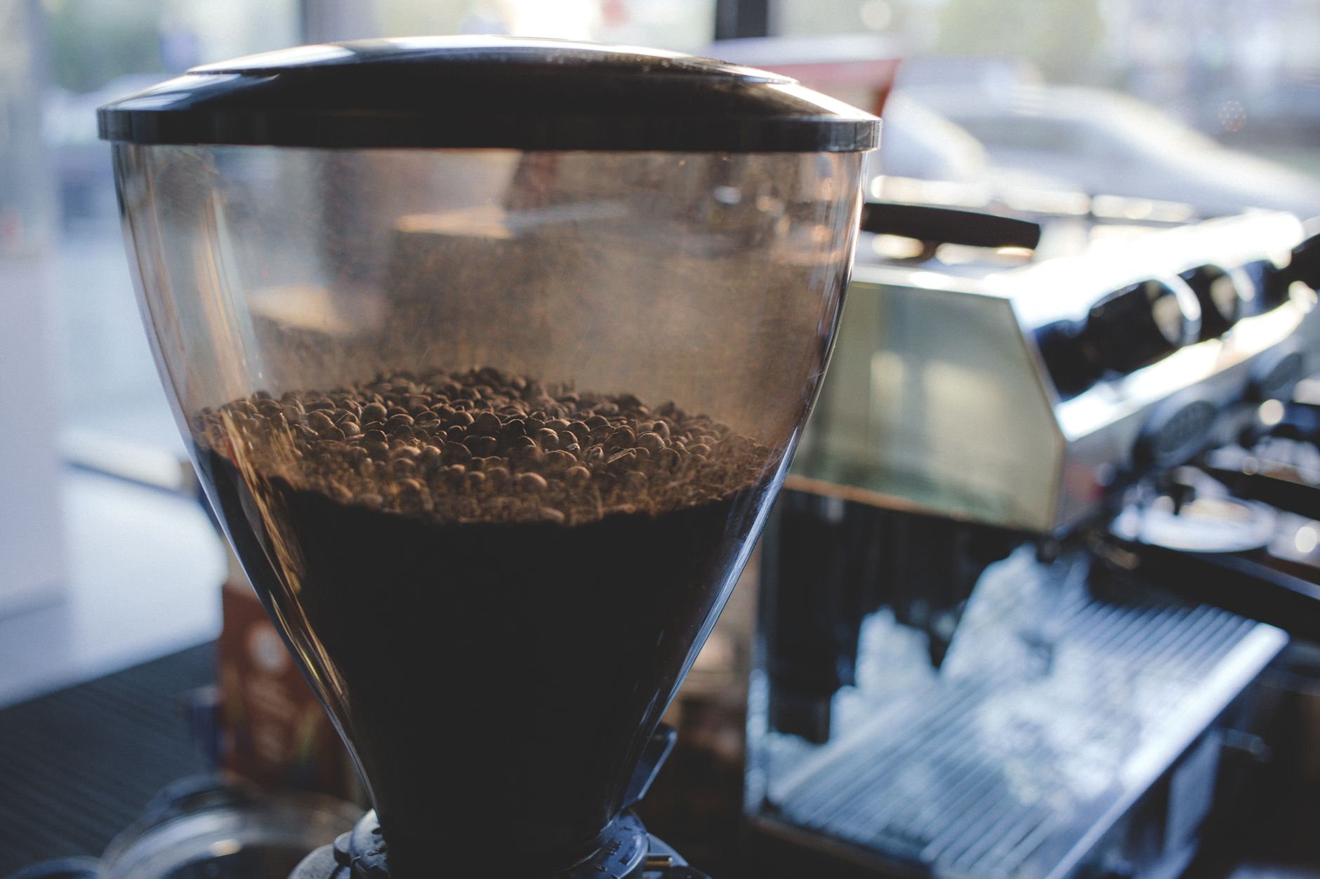 Coffee beans in a grinder at a cafe, perfect for brewing fresh coffee.