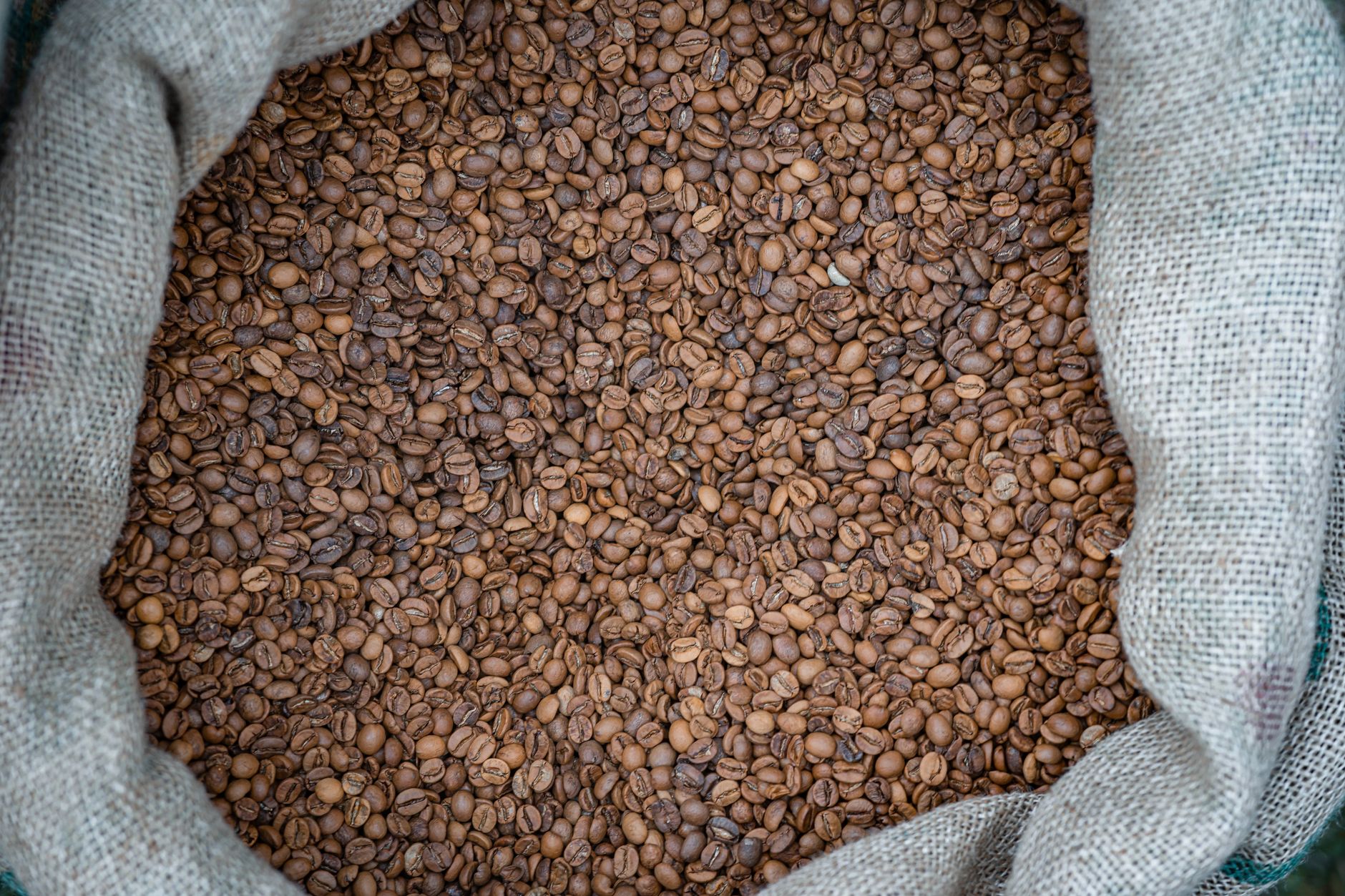 A burlap sack filled with aromatic, freshly roasted coffee beans, perfect for brewing.