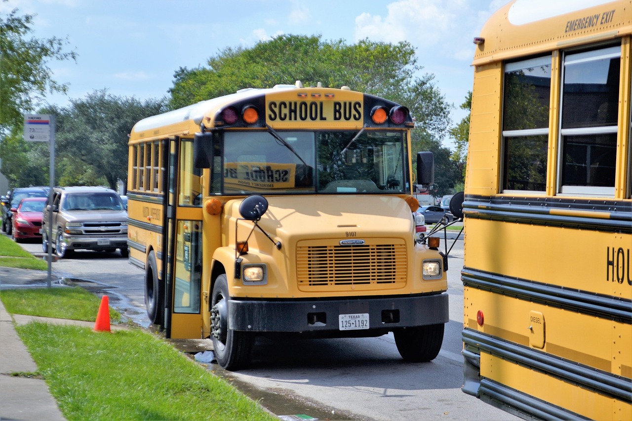 school buses, houston texas, teachers, students, grade school, buses, educational, education, school, books, student, children, bus, learning, knowledge, study, teach, teaching, transportation, yellow, hazard, cones, orange cone, grass, corner, street, curb, license plate, outdoors, young, child, vehicle, back to school, road, kid, automobile, youth, government, courtesy, transport, people, safety, drive, driver, bus driver, traffic, protection, auto, yellow school bus, colorful, slow down, crosswalk, service, public service, system, america, usa, united states, esquela, window, windshield, tires, cars, cone, nature, caution, parked, ready, schooling, educator, school safety, helpmeet, headlamp, headlight, reflection, kids, studious, studying, test, tutoring, tutor