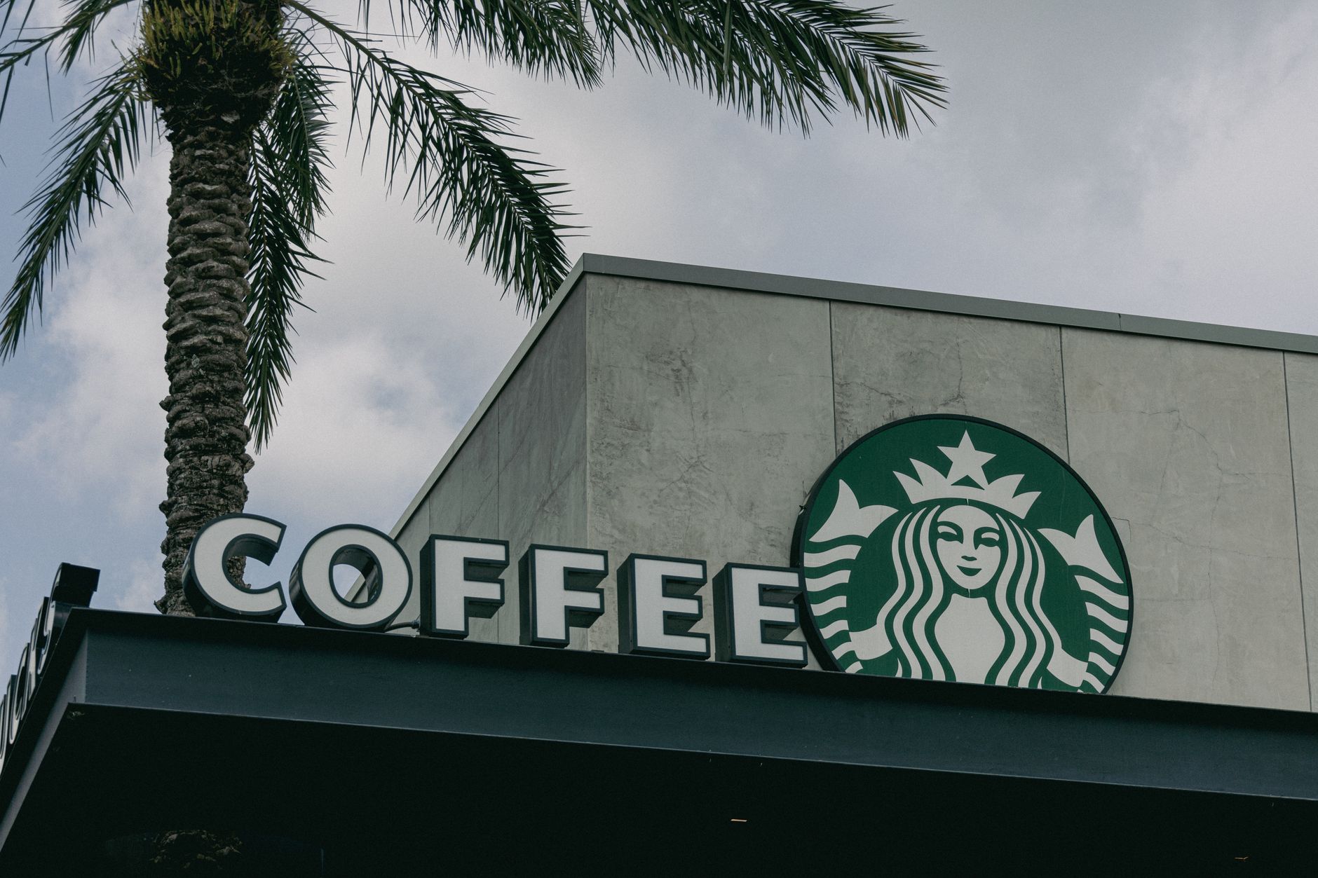 Low angle view of a Starbucks café sign with a palm tree against cloudy sky.
