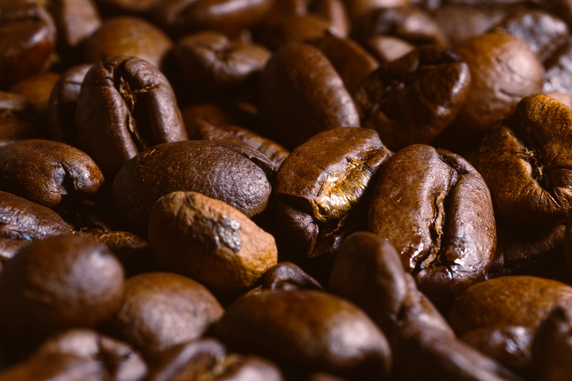 Detailed close-up of roasted coffee beans showcasing texture and color.