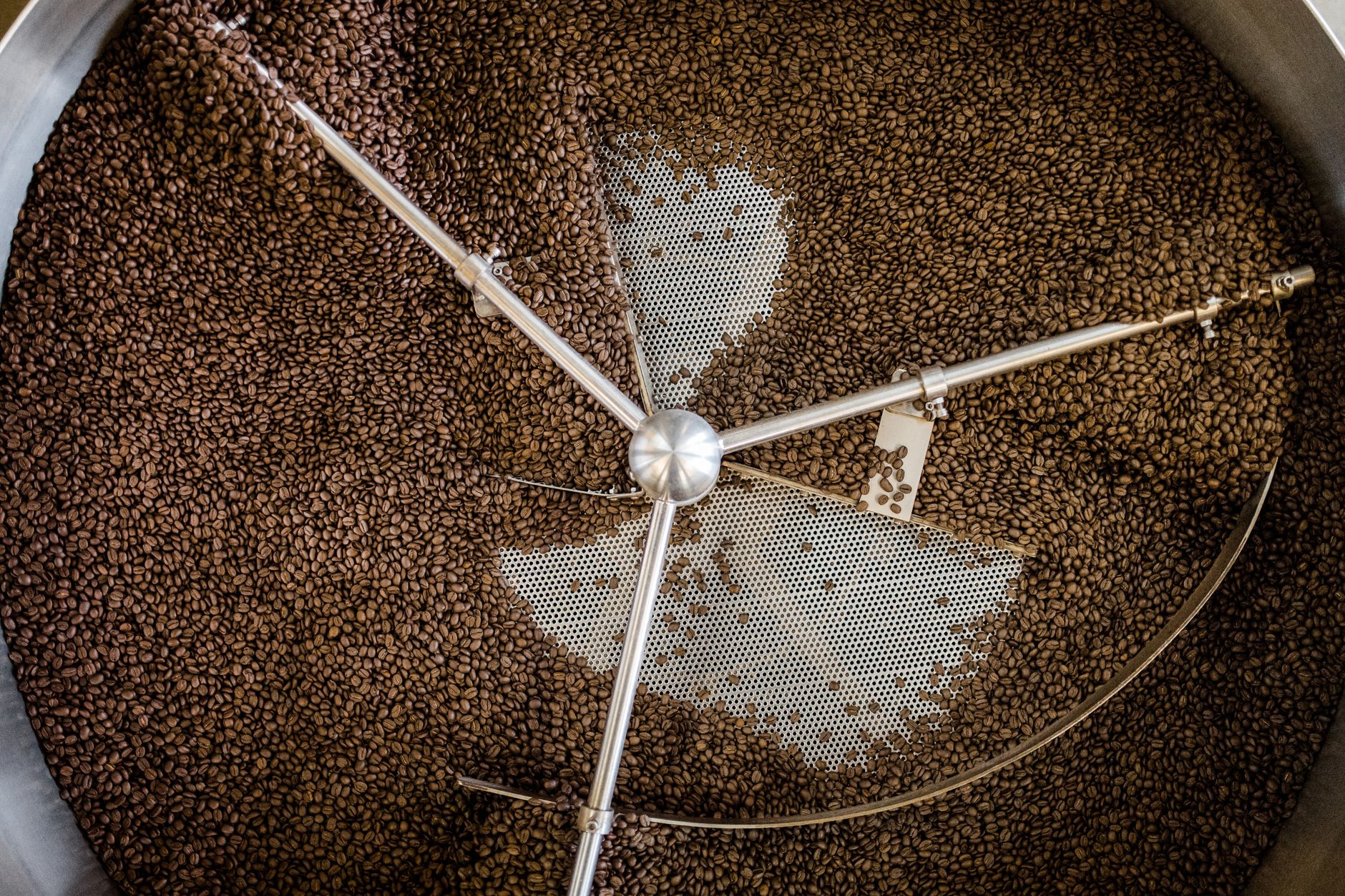 High angle view of coffee beans cooling in a roasting machine tray in Greensboro, NC.
